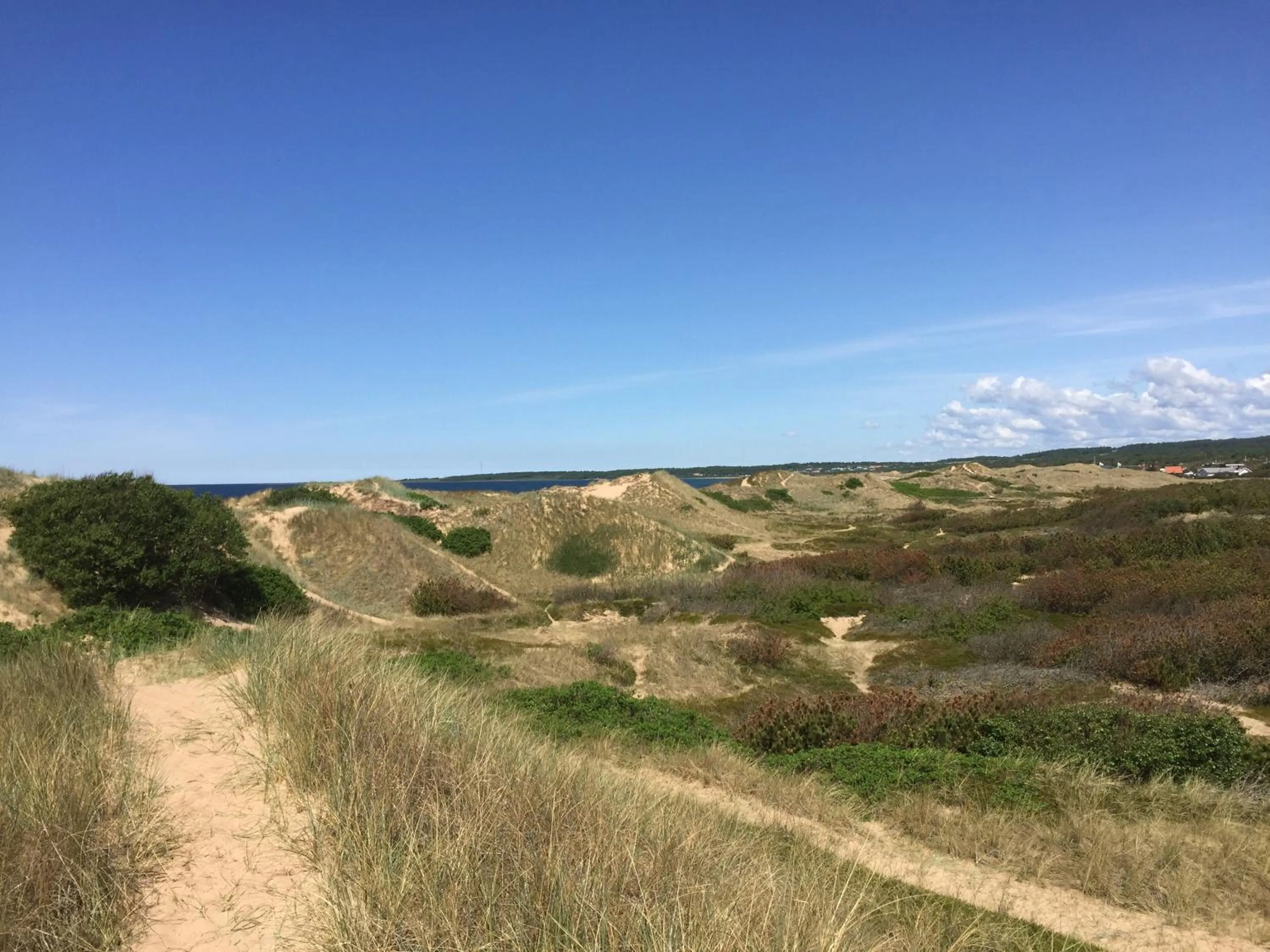 Hiking in Tylebäck Hotell & Konferens, BW Signature Collection