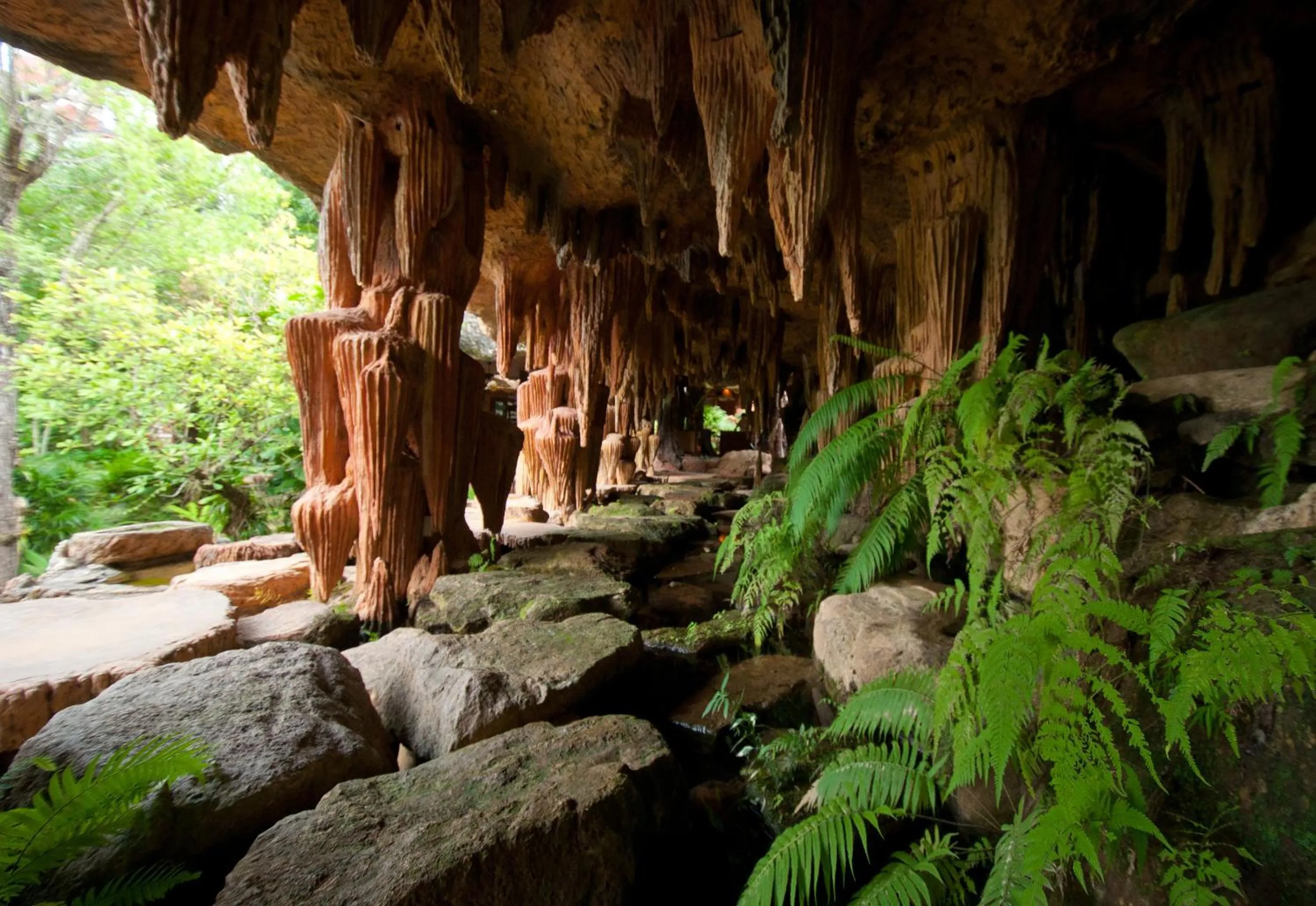 Other in Panviman Chiang Mai Spa Resort