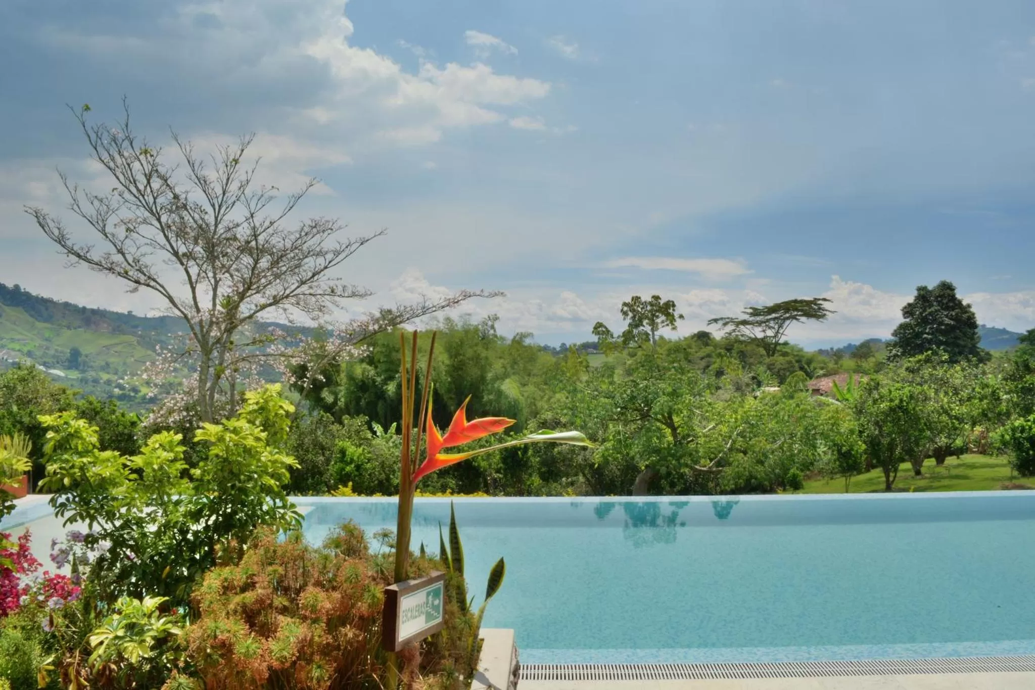 Natural landscape in Finca del Café - Casa Typica