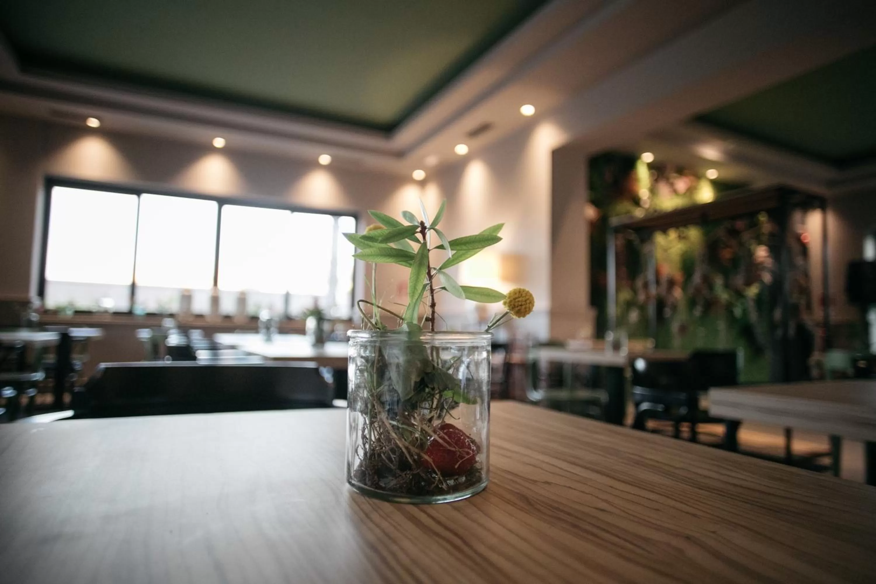 Seating area in Hotel Aloisi