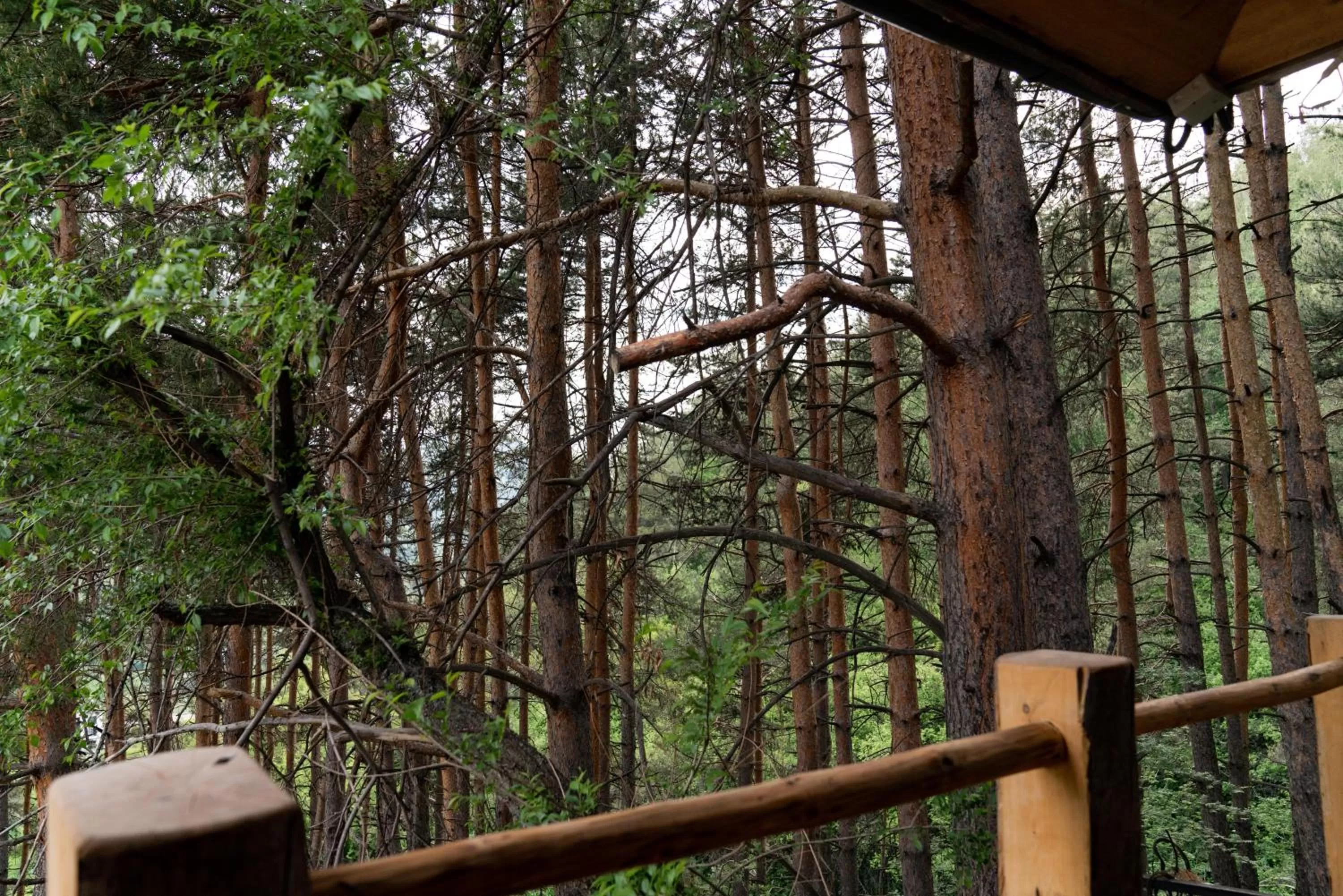 Spring in Qazaq Auyl Eco Hotel