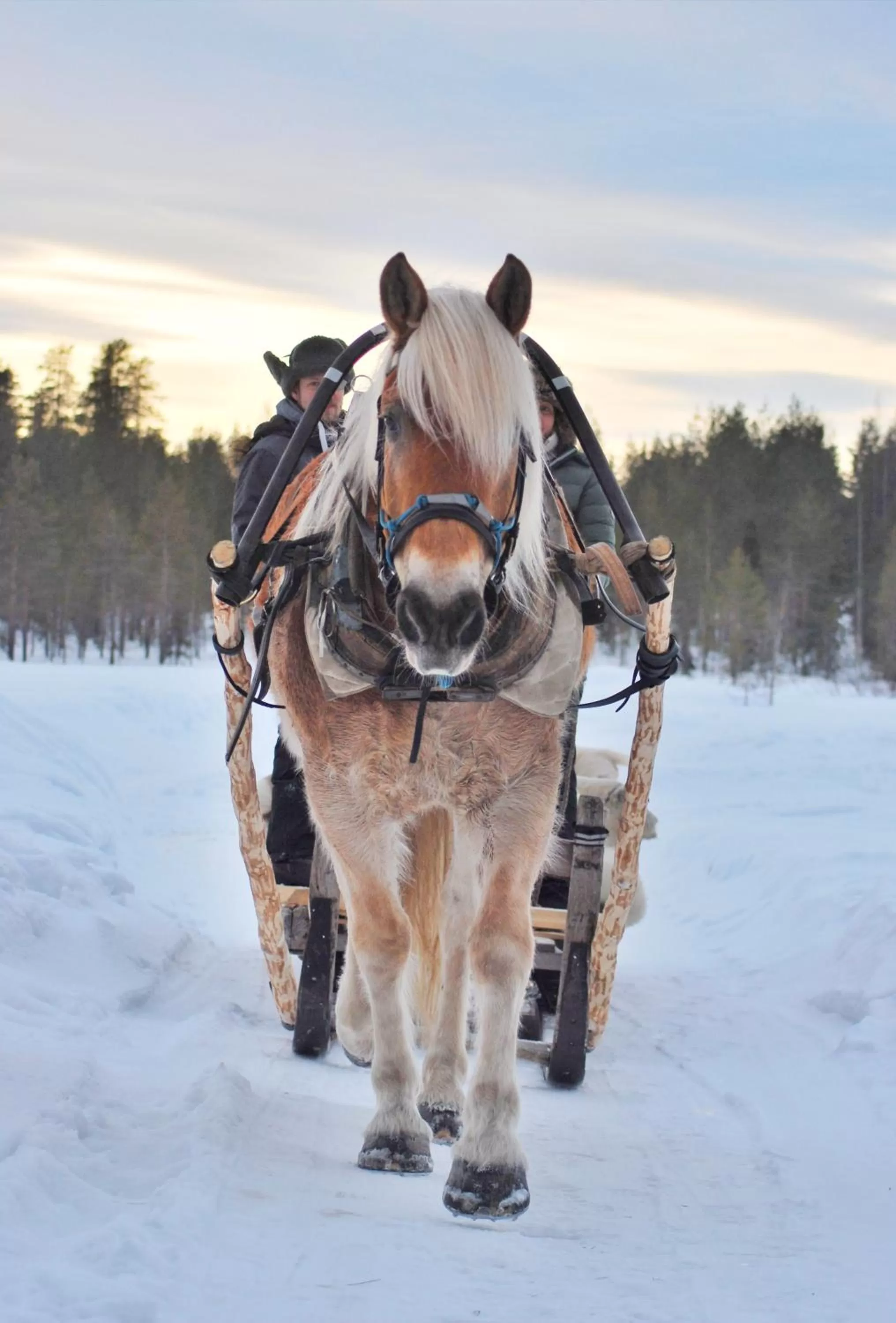 People in Arctic Guesthouse & Igloos