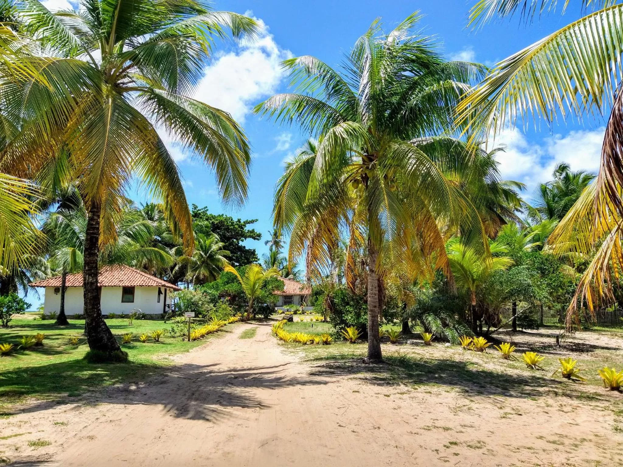 Garden, Beach in Pousada Bahia Boa