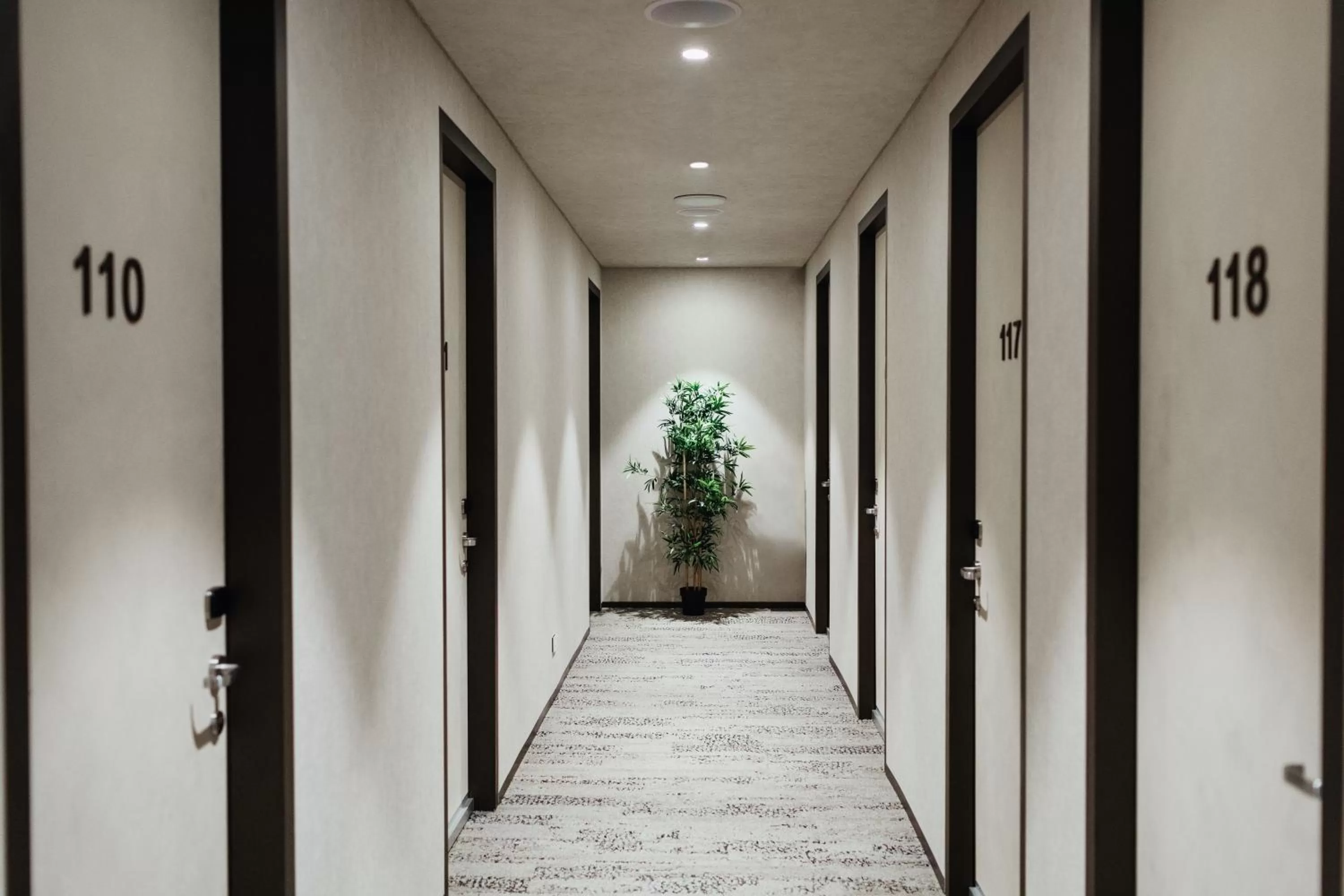 Other in Aerotel Sydney - Inside International Terminal Airport