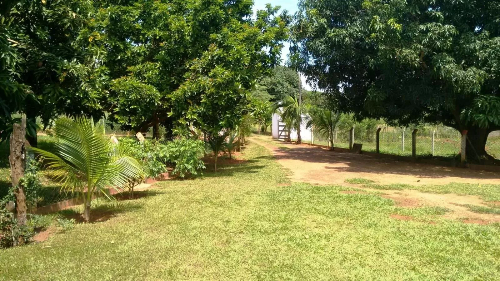 Garden view, Garden in Pousada Sorocabana
