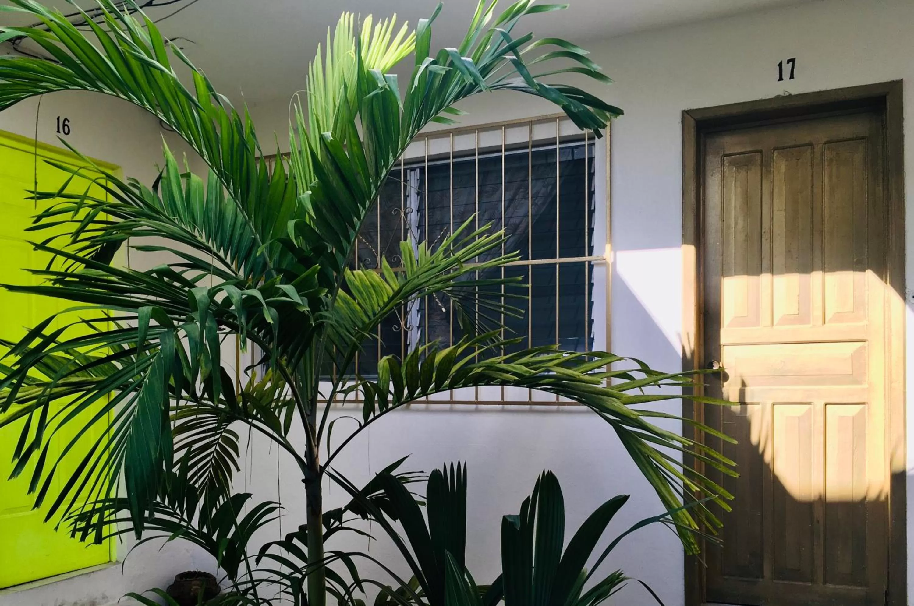 Facade/entrance in Hotel Posada Edem