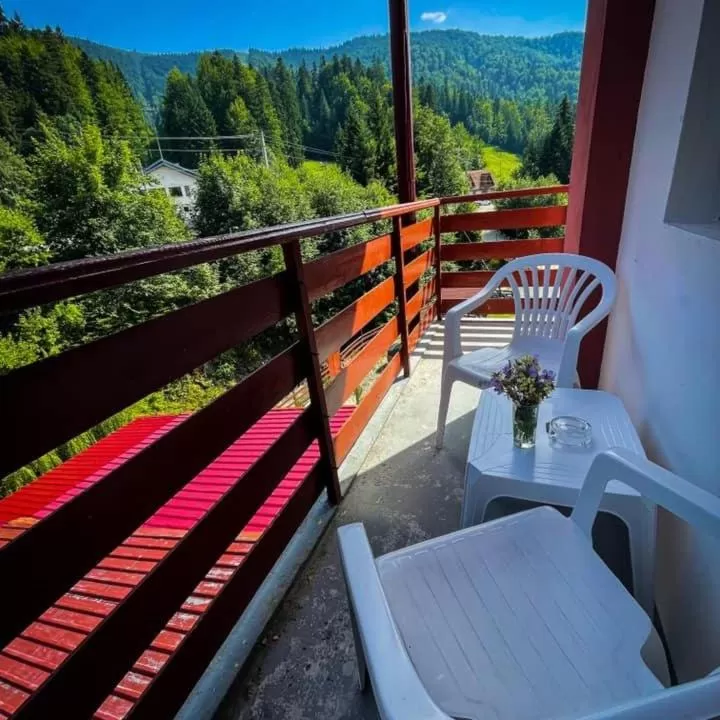 Balcony/Terrace in Hotel Pin Azuga