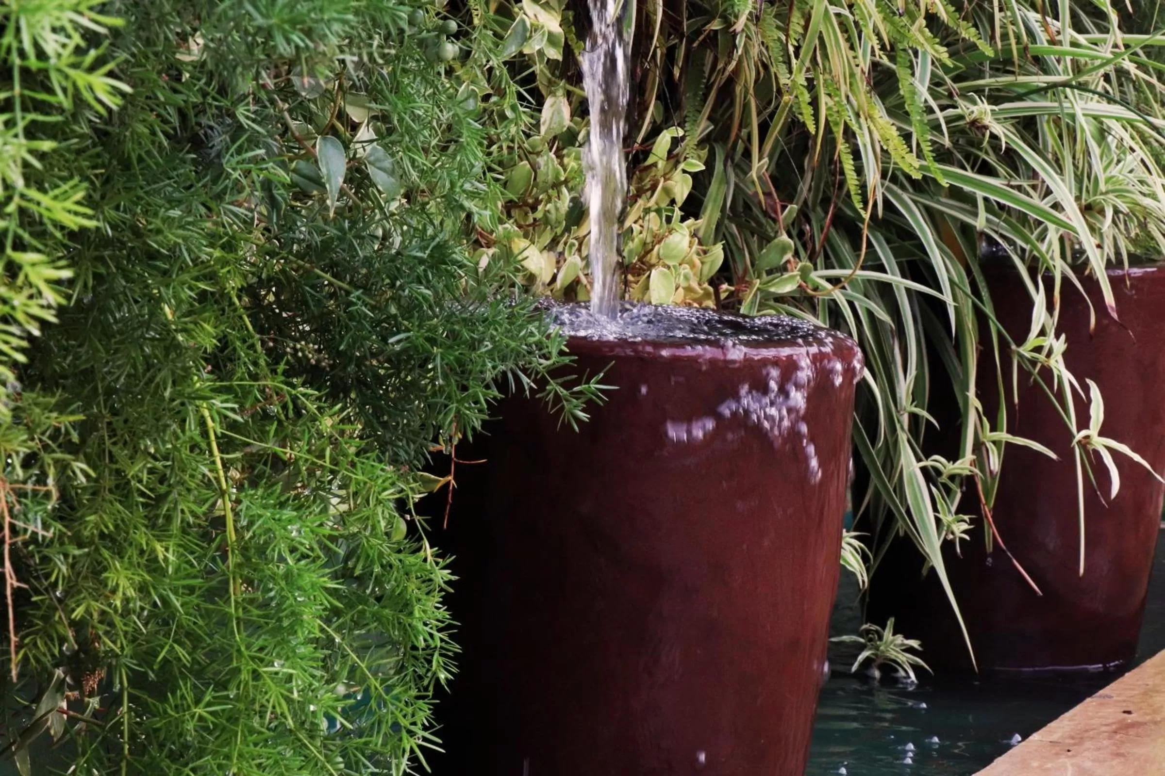 Garden in Pousada Santa Thereza