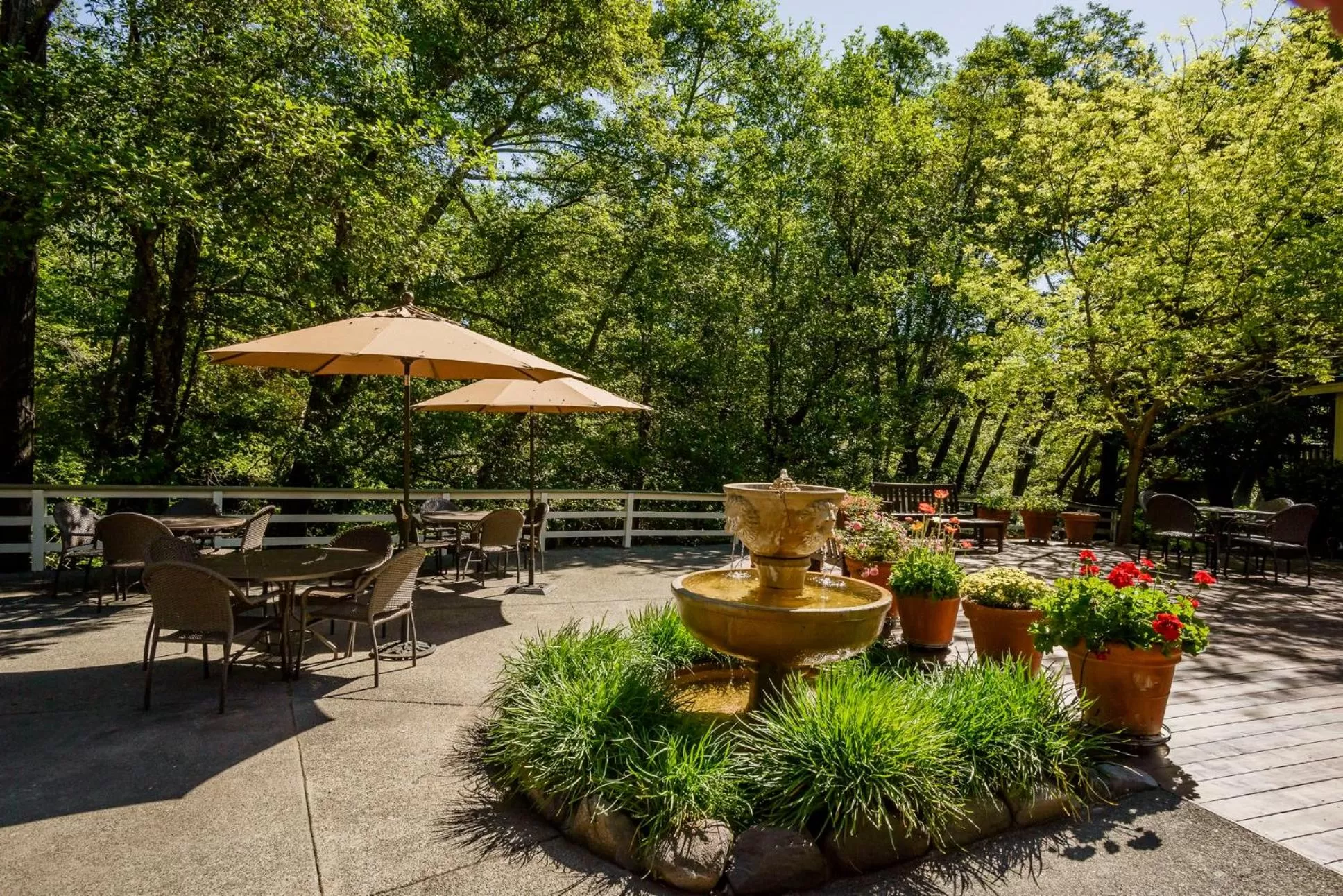 Patio in The Jack London Lodge
