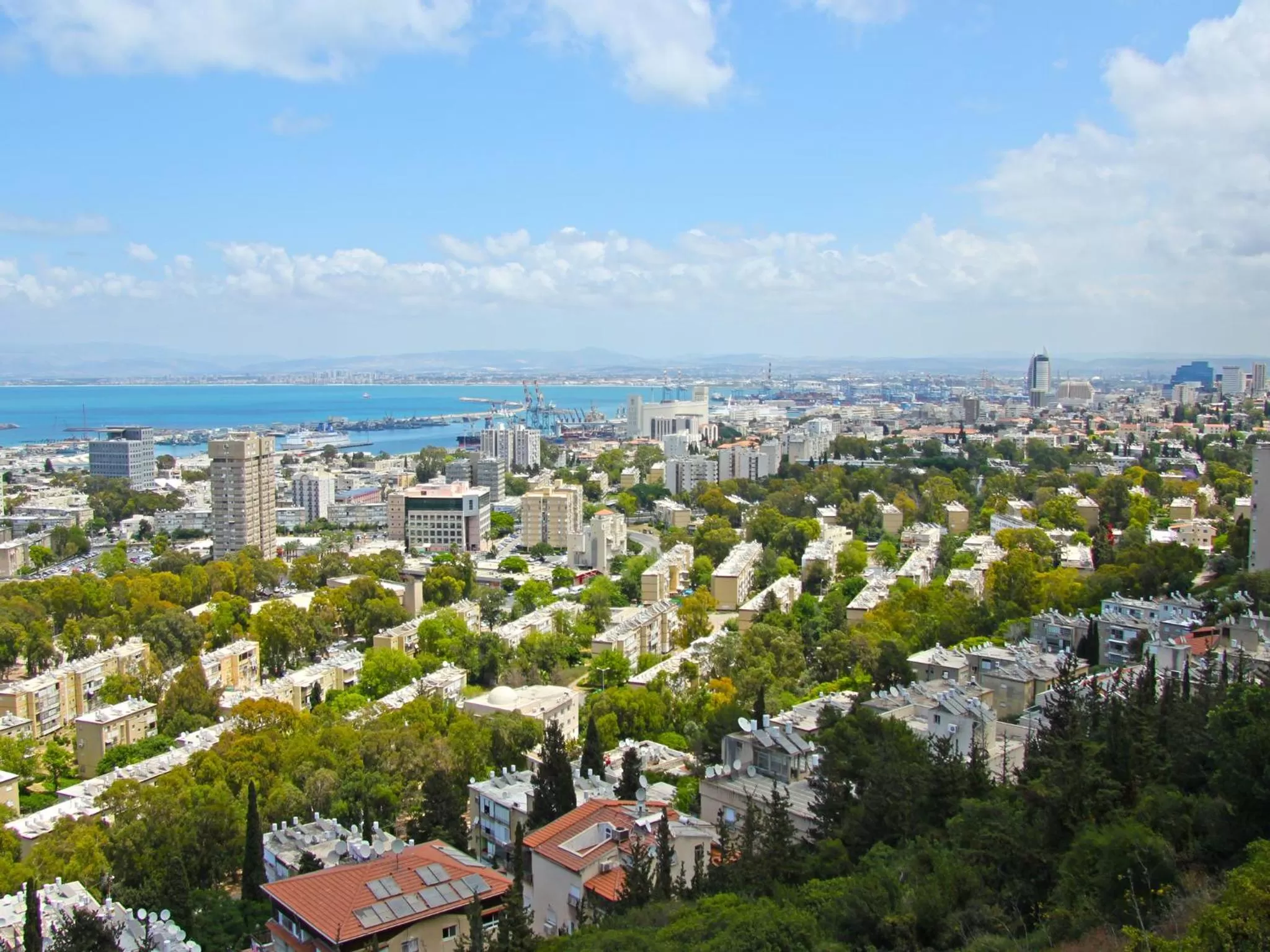 View (from property/room) in Dan Carmel Haifa