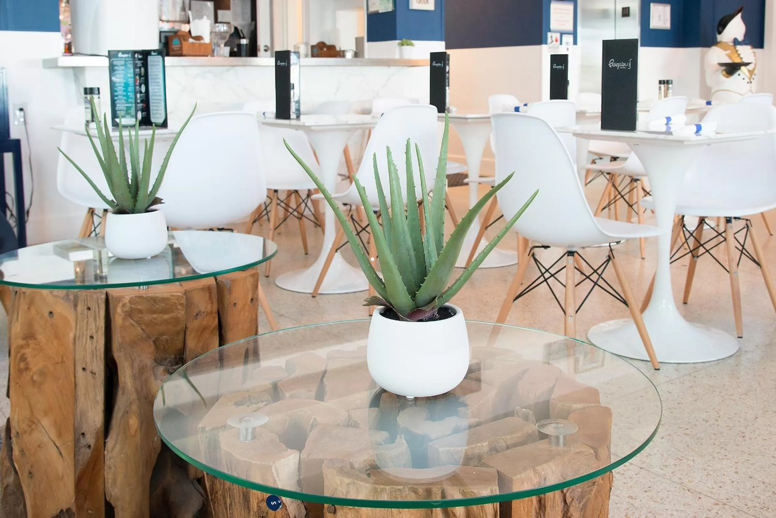 Restaurant/places to eat in Penguin Hotel