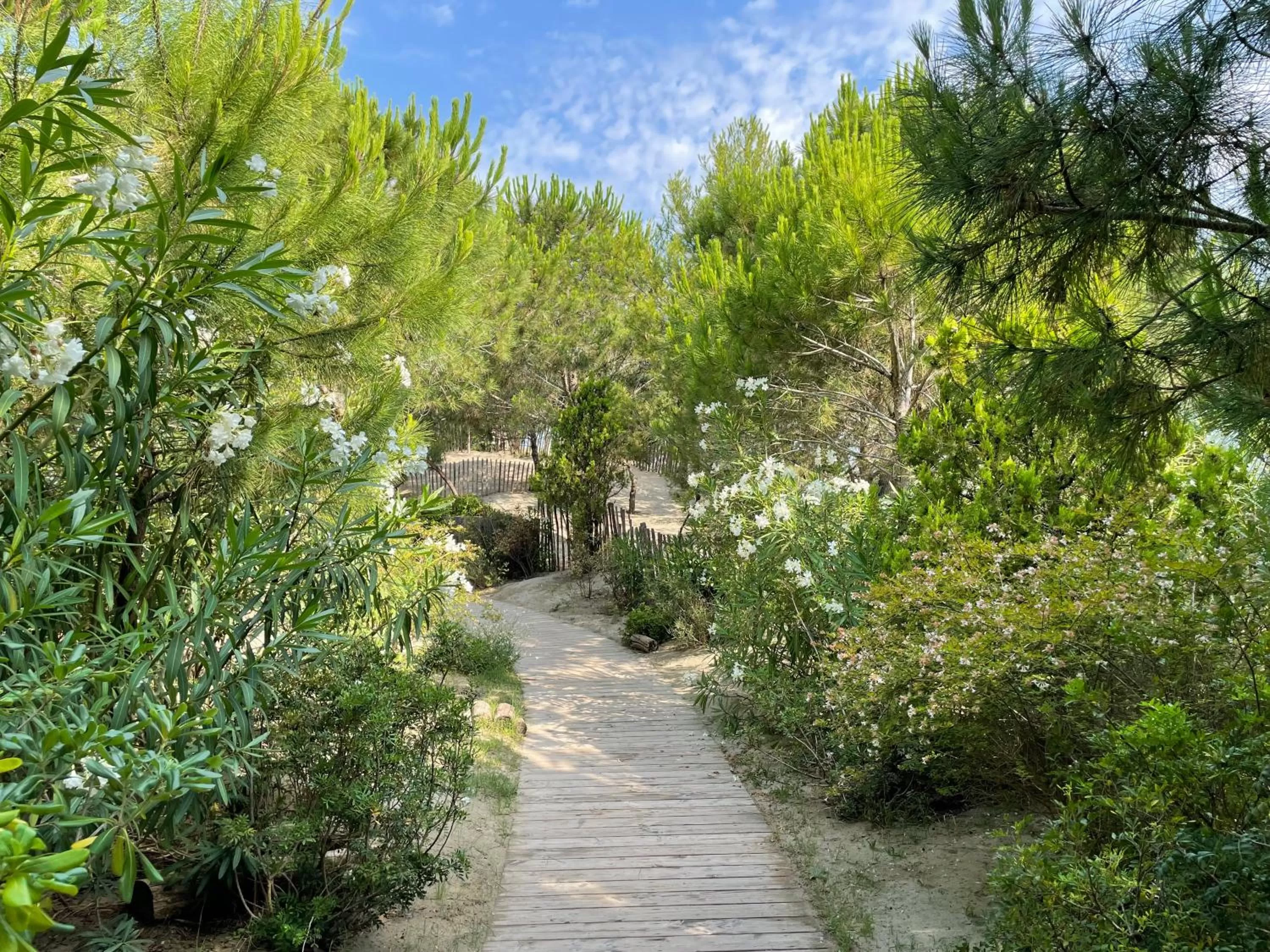 Spring in Hôtel Plage Palace & Spa