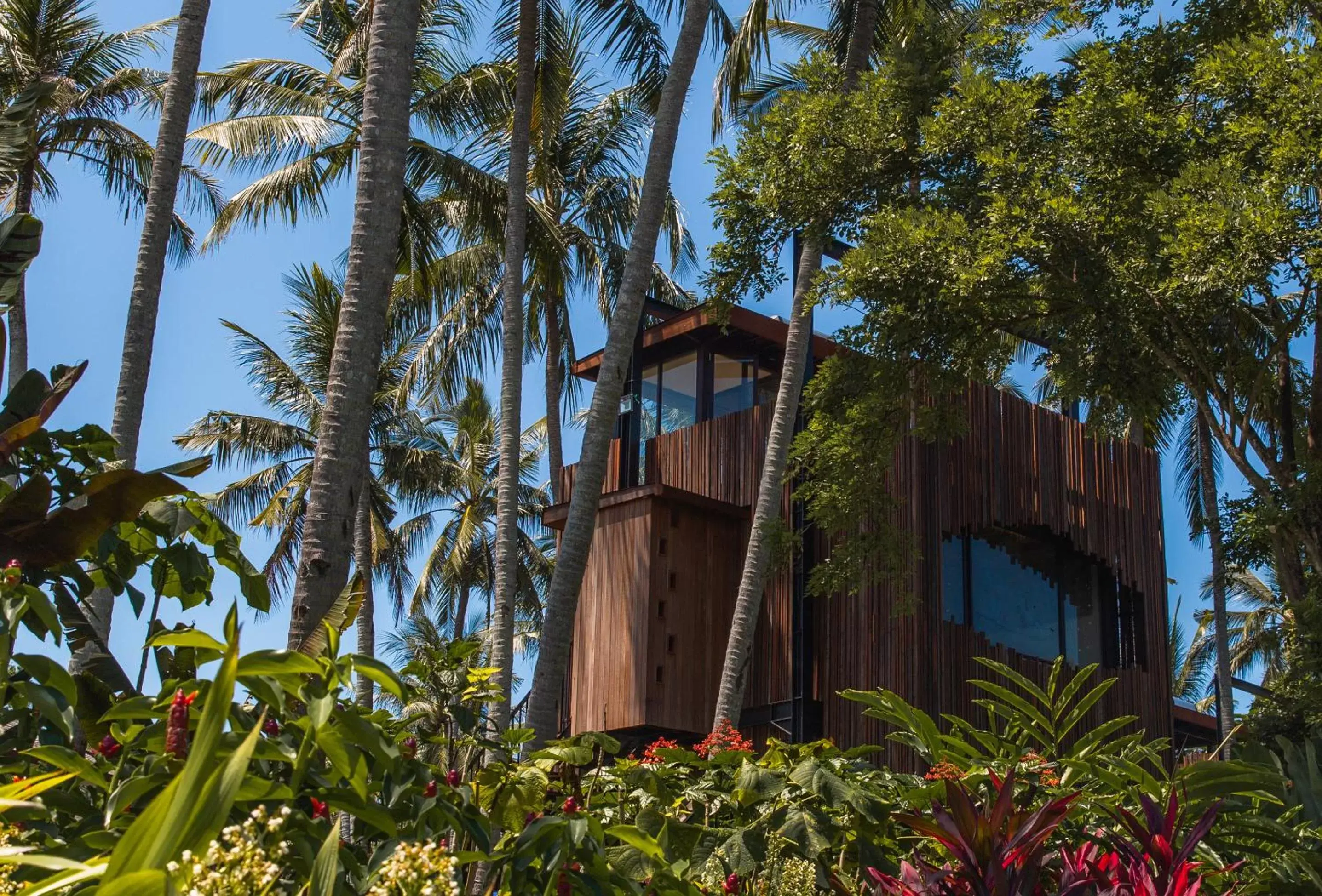 Canopy Suite in Nirjhara Canopy Suite in Nirjhara