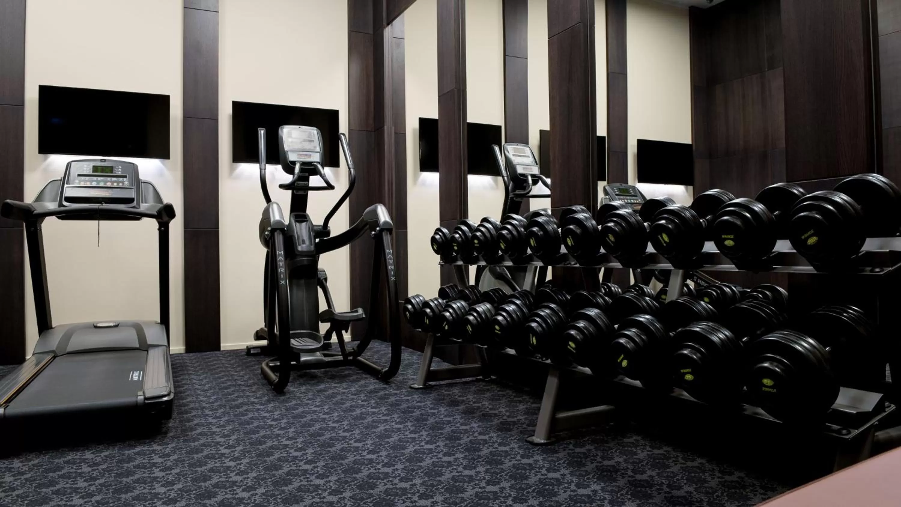 Fitness centre/facilities in Lydia Hotel