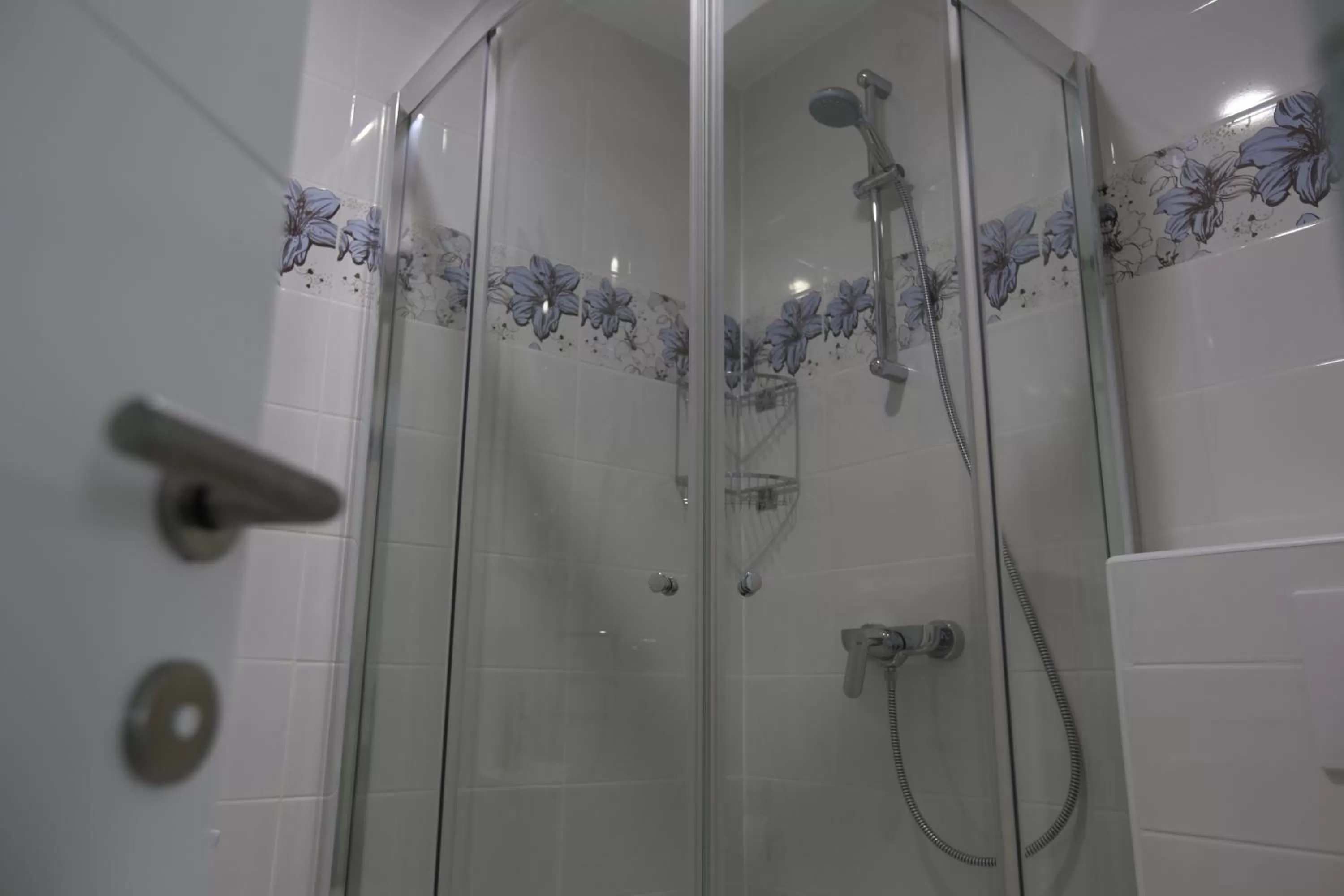 Shower in Villa Flowers