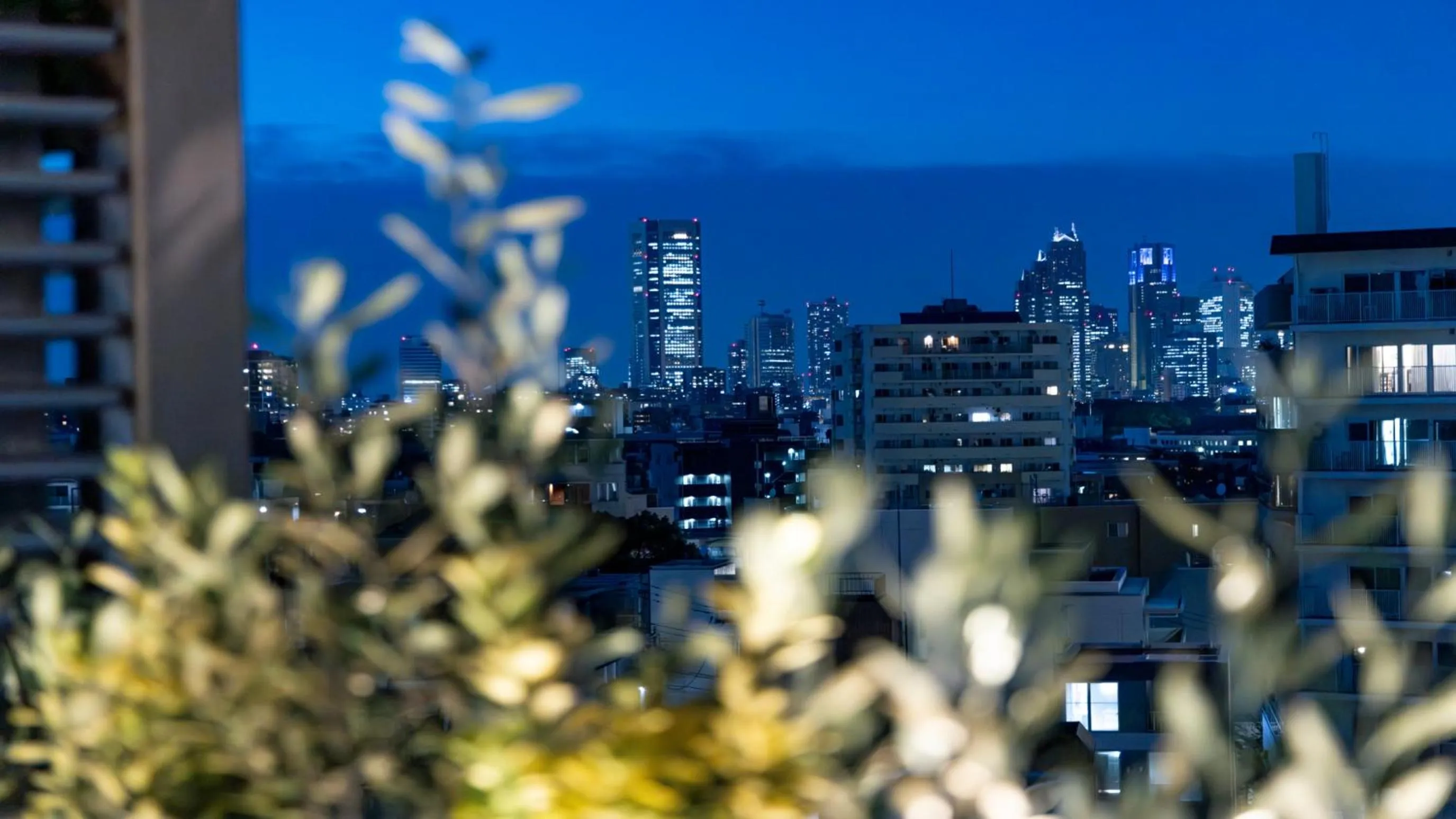 View (from property/room) in Tokyu Stay Shibuya