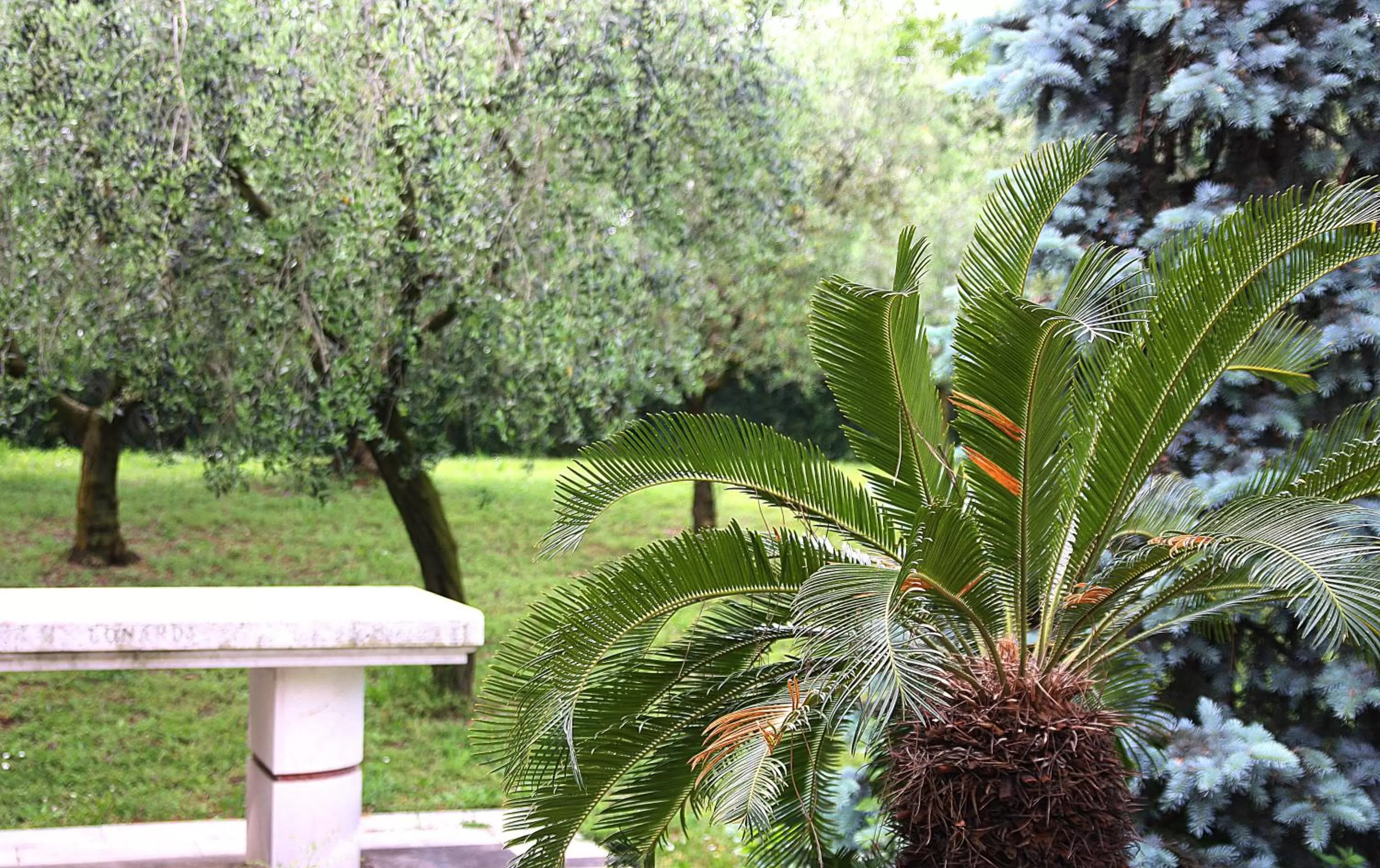 Garden view in San Giorgio Lazise Locazione Turistica