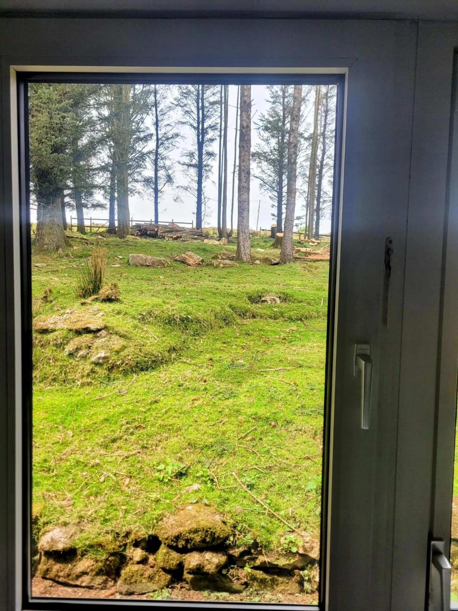 Garden view in Wheal Tor Hotel & Glamping