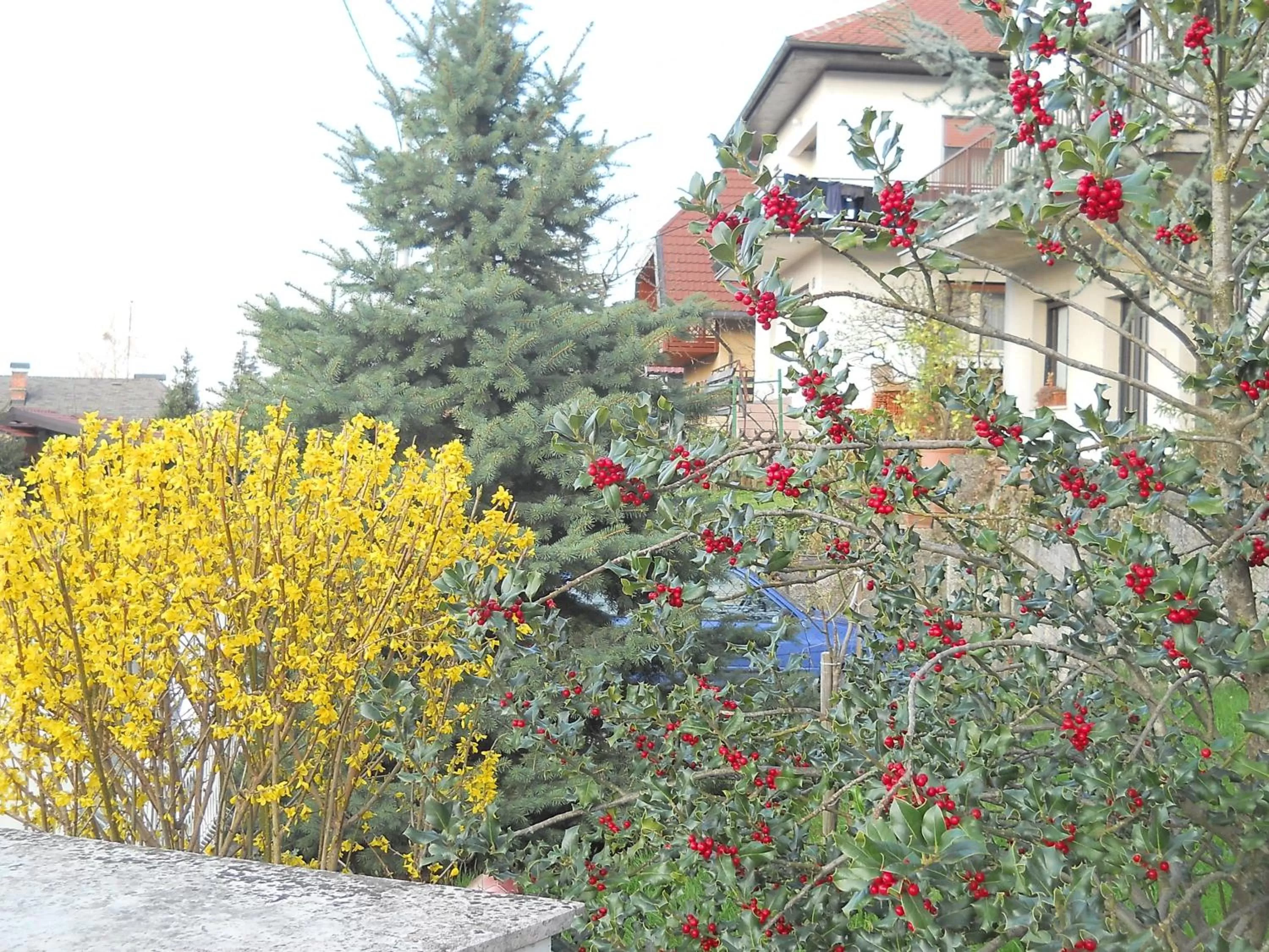 Property Building in Apartment & Rooms Miboti