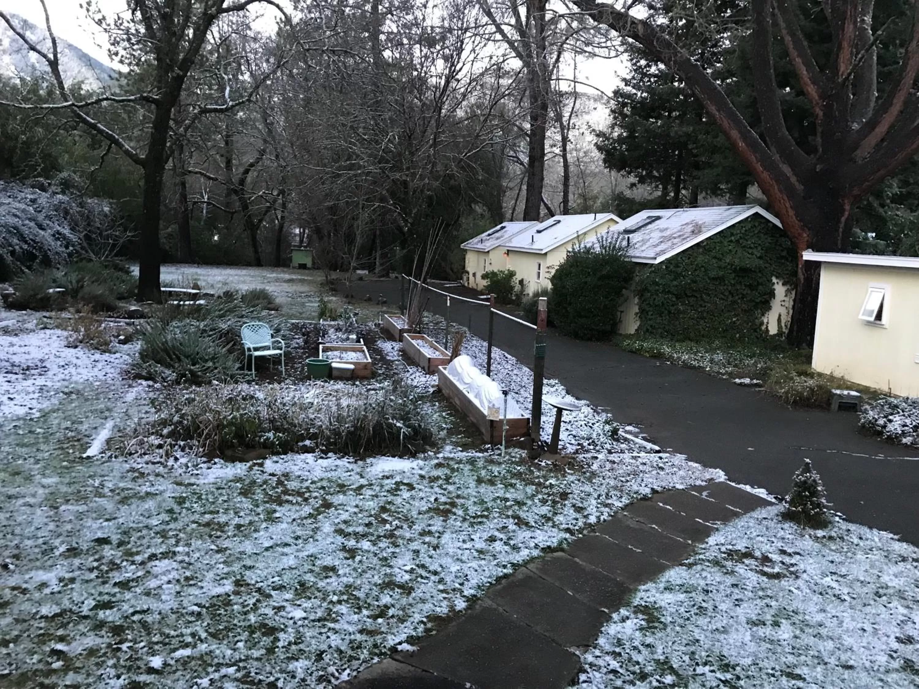 Backyard Garden Oasis