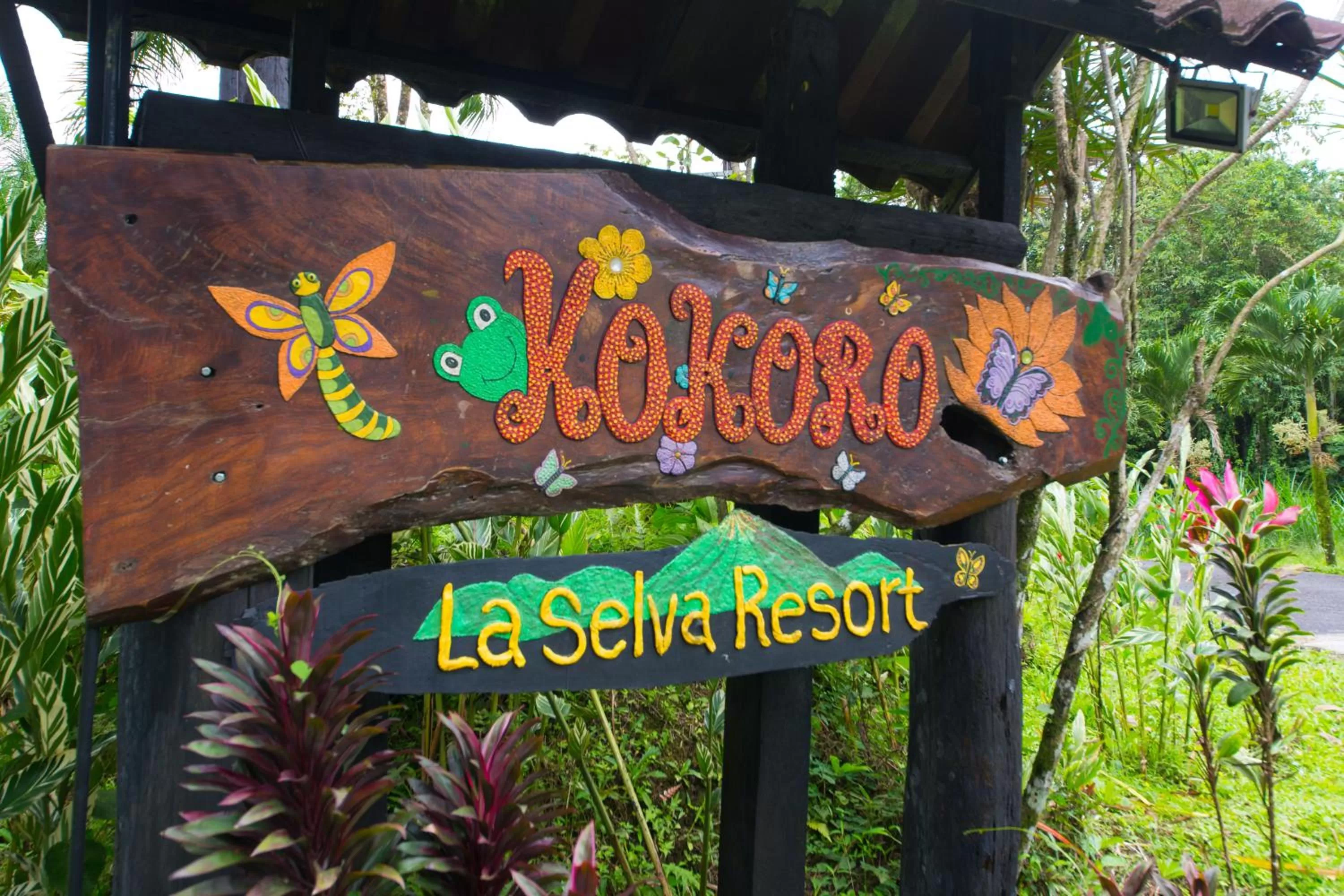 Day in Hotel Kokoro Mineral Hot Springs