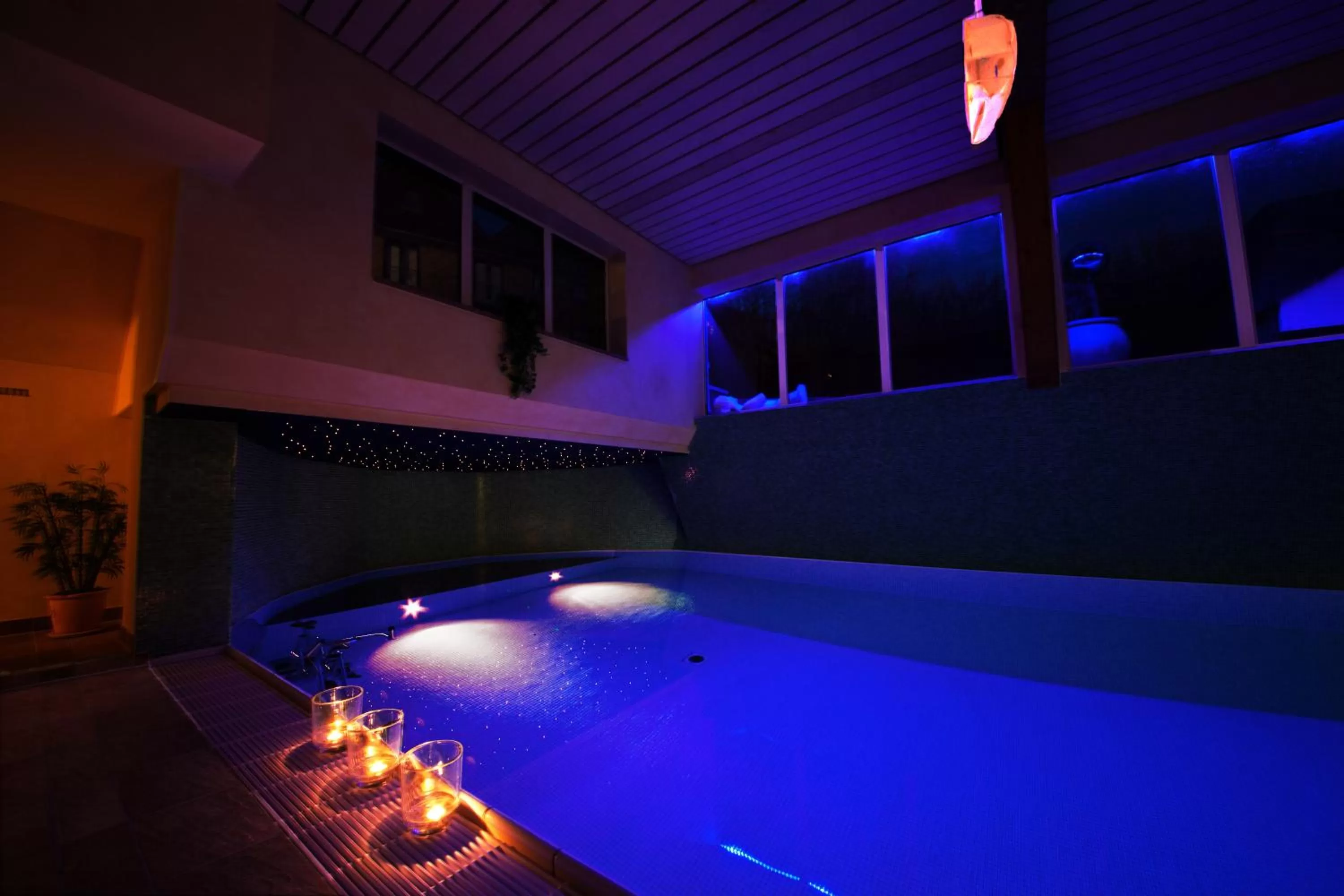 Hot Tub, Swimming Pool in Wellness Hotel Harms