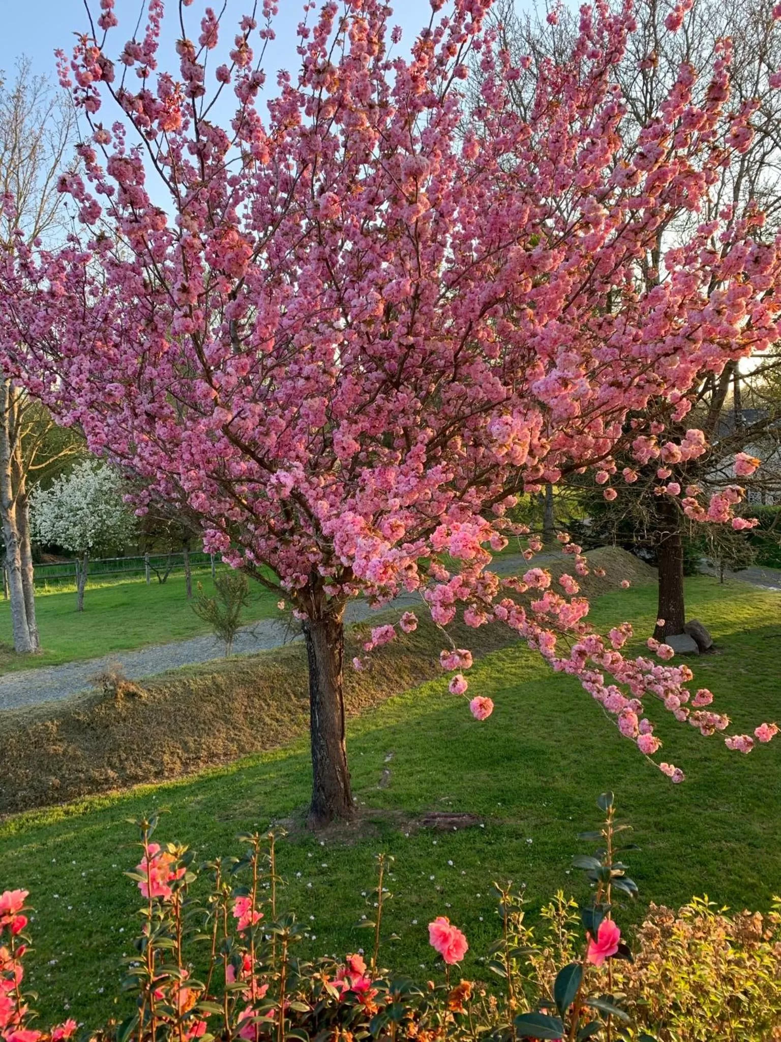 Garden in Le Logis de la Lettre