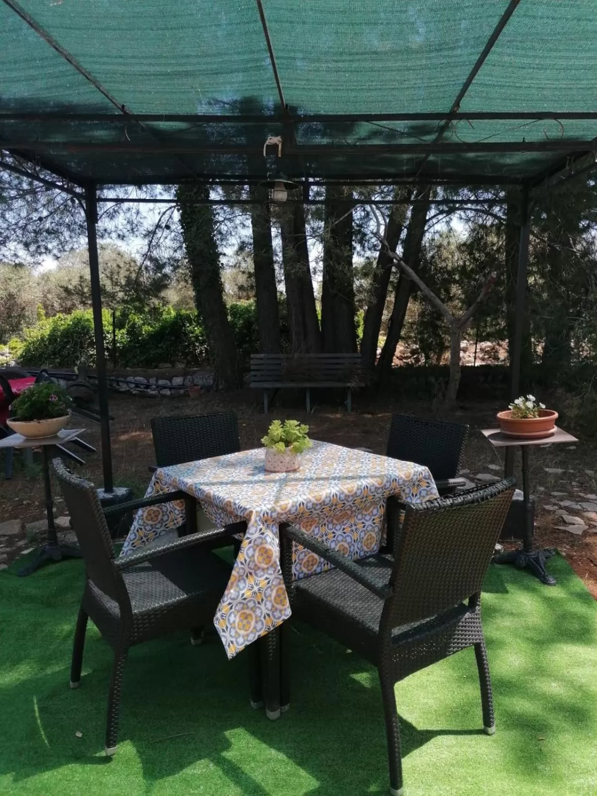 Property building in L'Isola Felice e Trulli Sotto Le Stelle