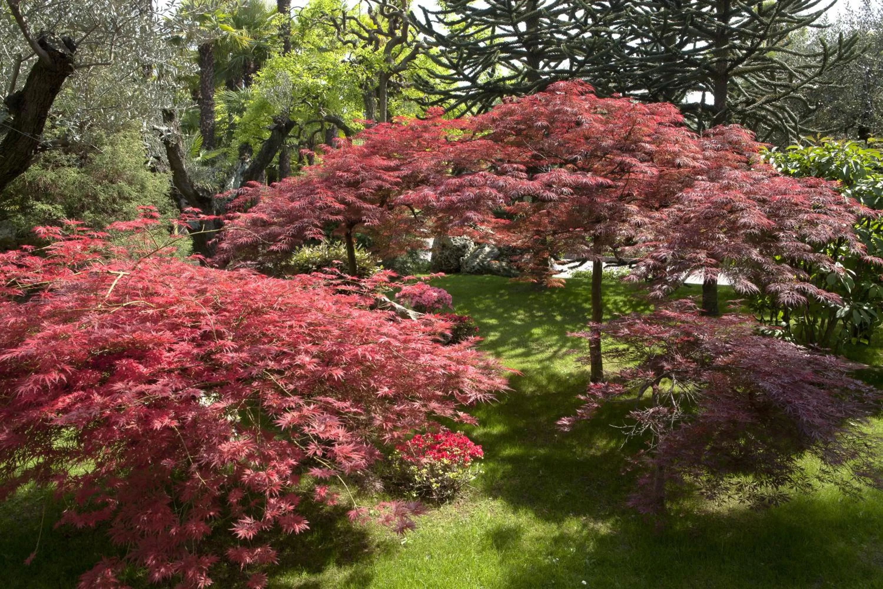 Day in Abano Grand Hotel