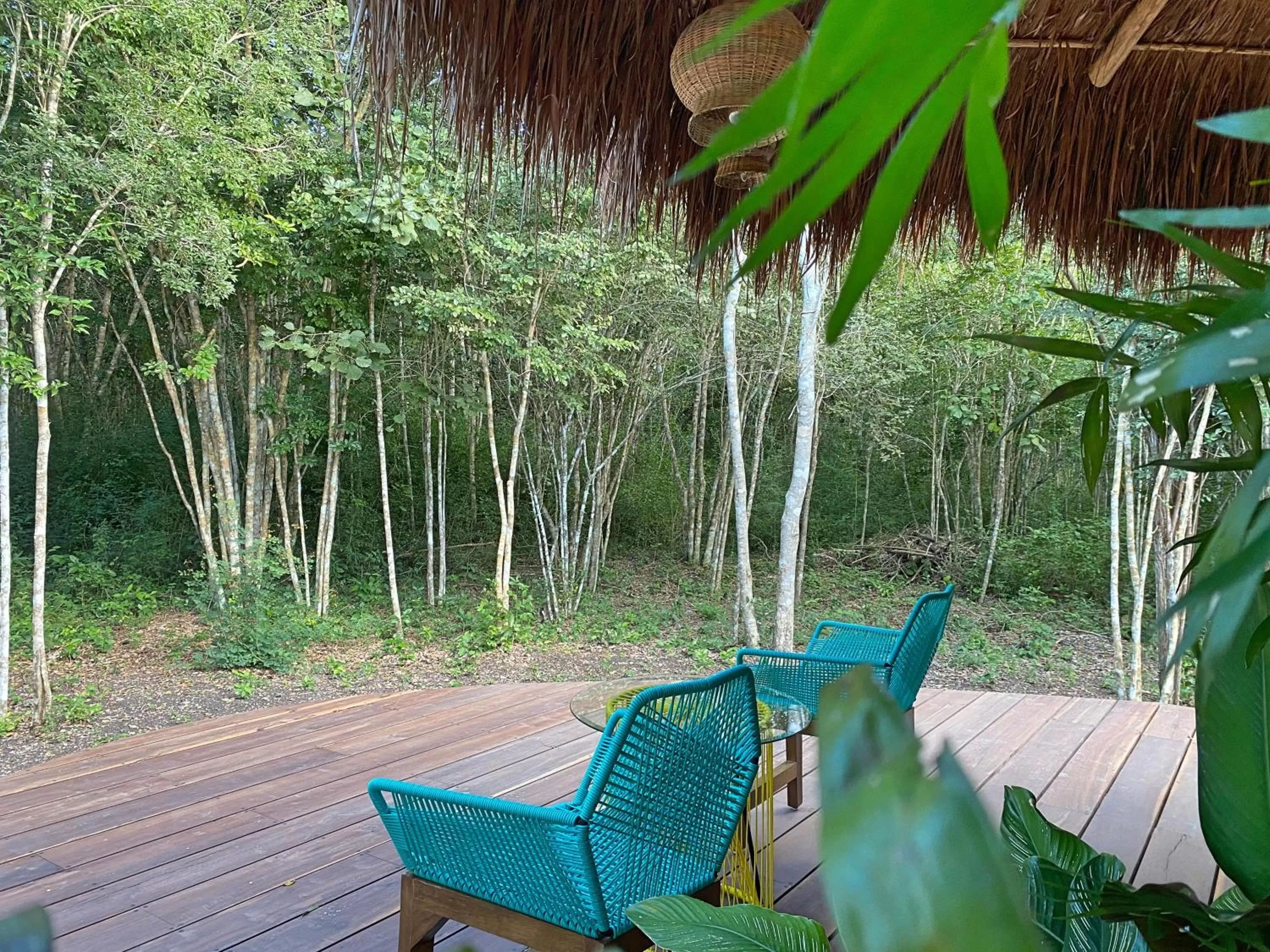 Garden view in Casa Kaan Calakmul