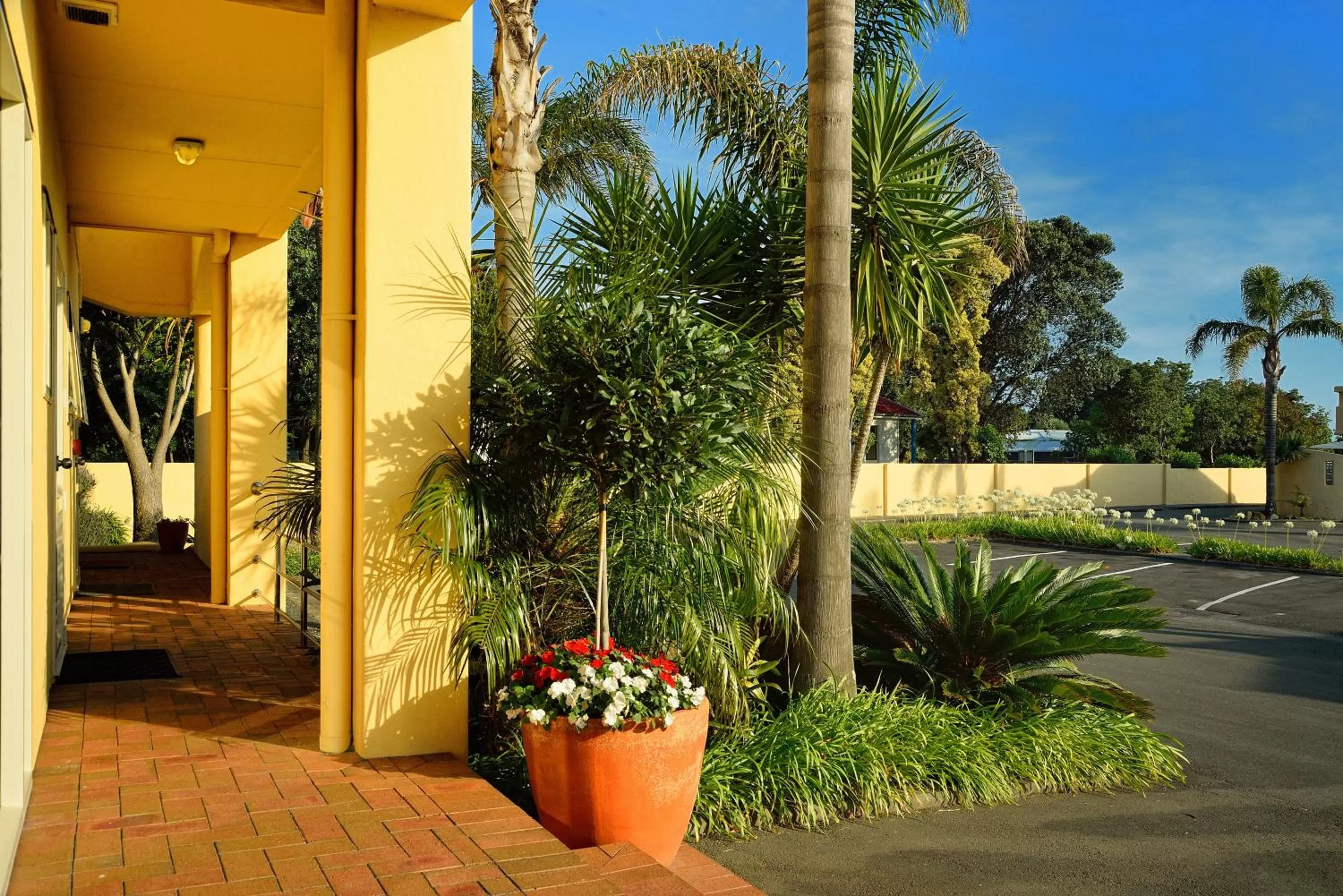 Garden view in Ocean Beach Wainui