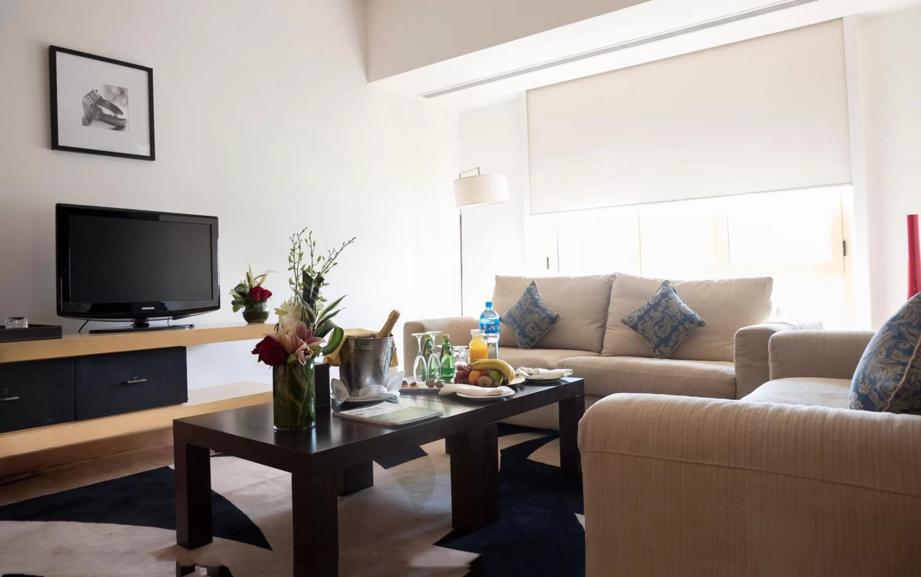 TV and multimedia in Asdal Boutique Hotel Seef