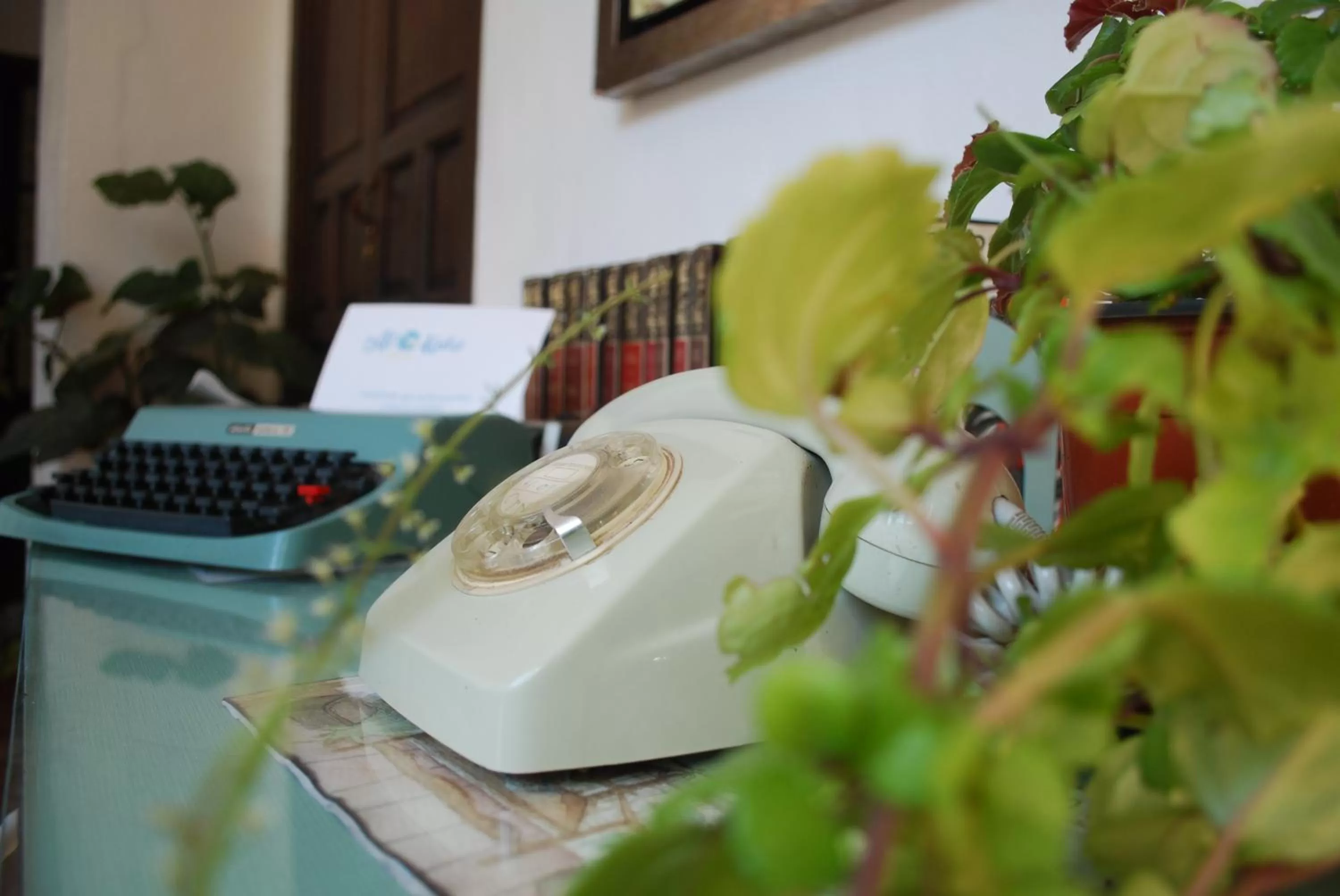 On site in Backpacker Al-Katre