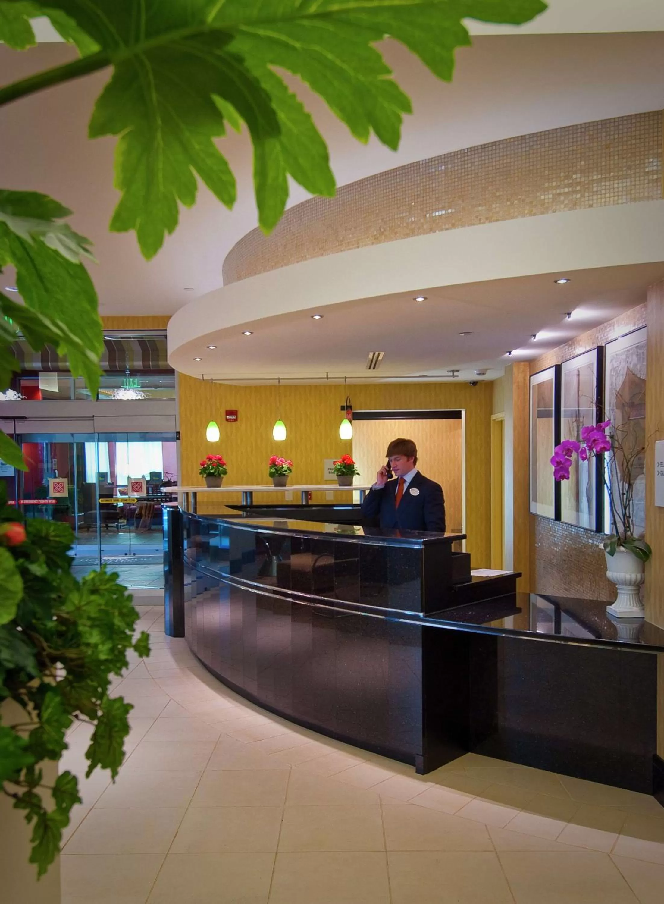 Lobby or reception in Hilton Garden Inn Rockville - Gaithersburg