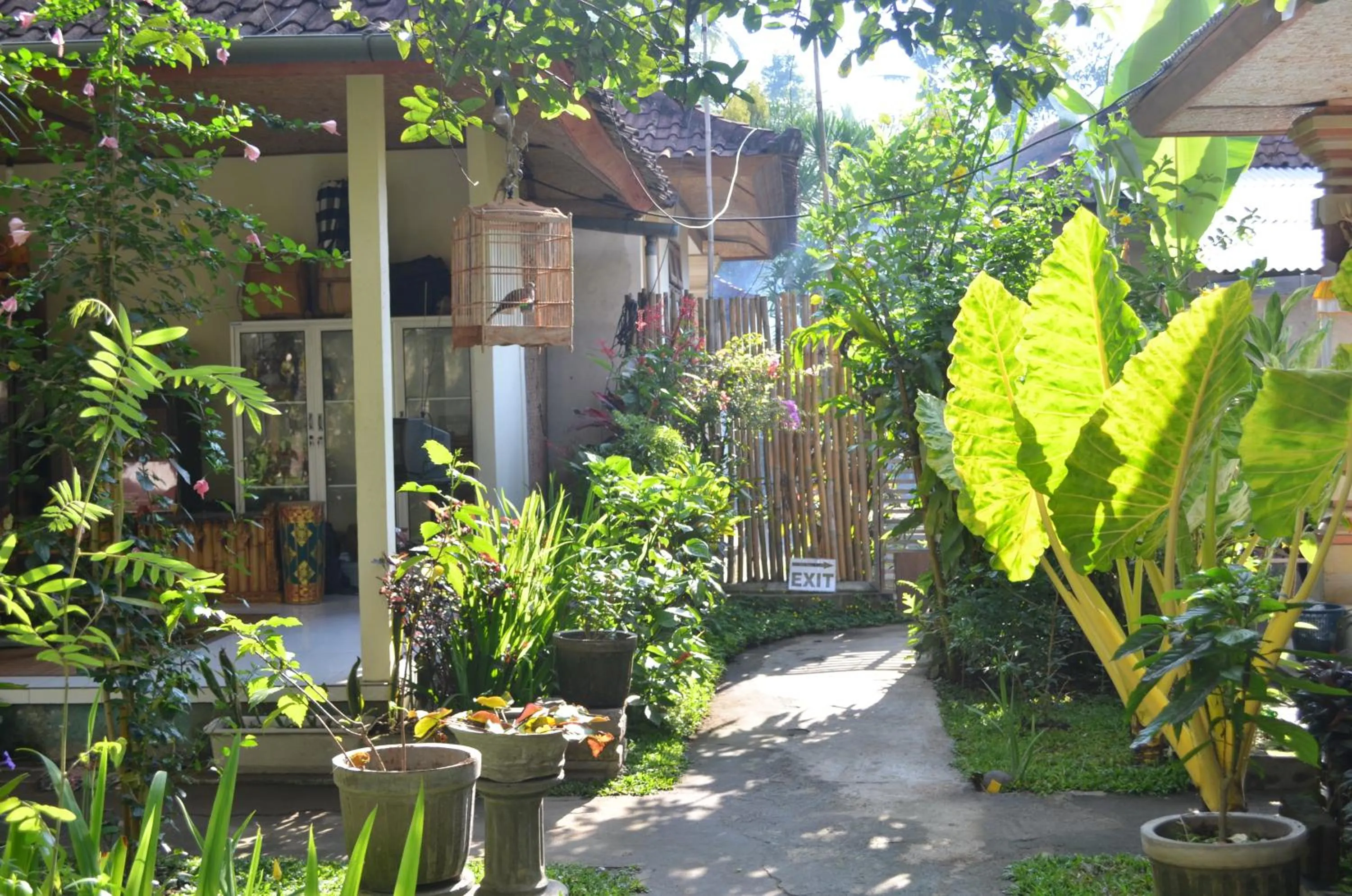Area and facilities in Wijaya Guest House Ubud