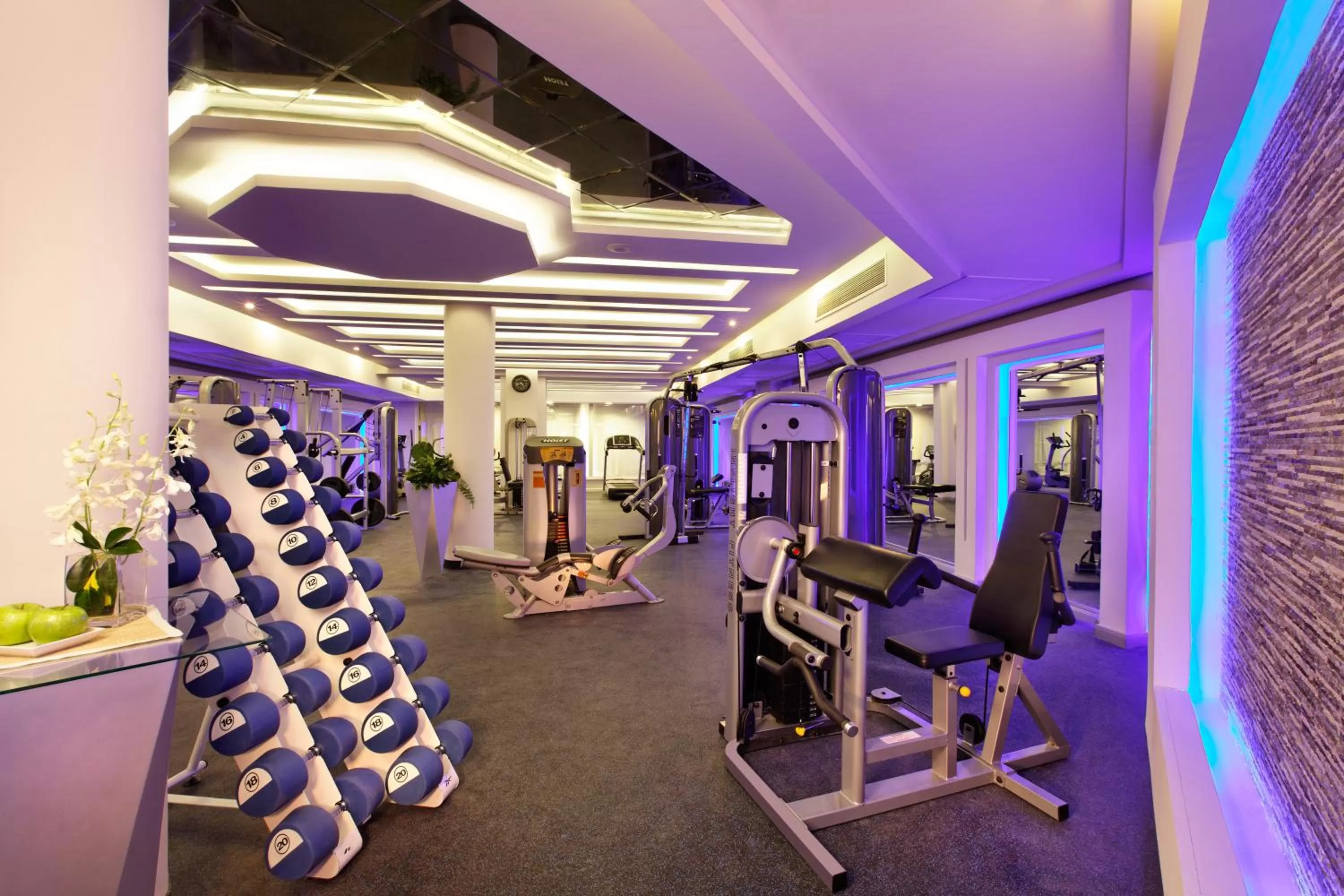 Fitness centre/facilities in Pickalbatros Royal Moderna Sharm "Aqua Park"- All inclusive