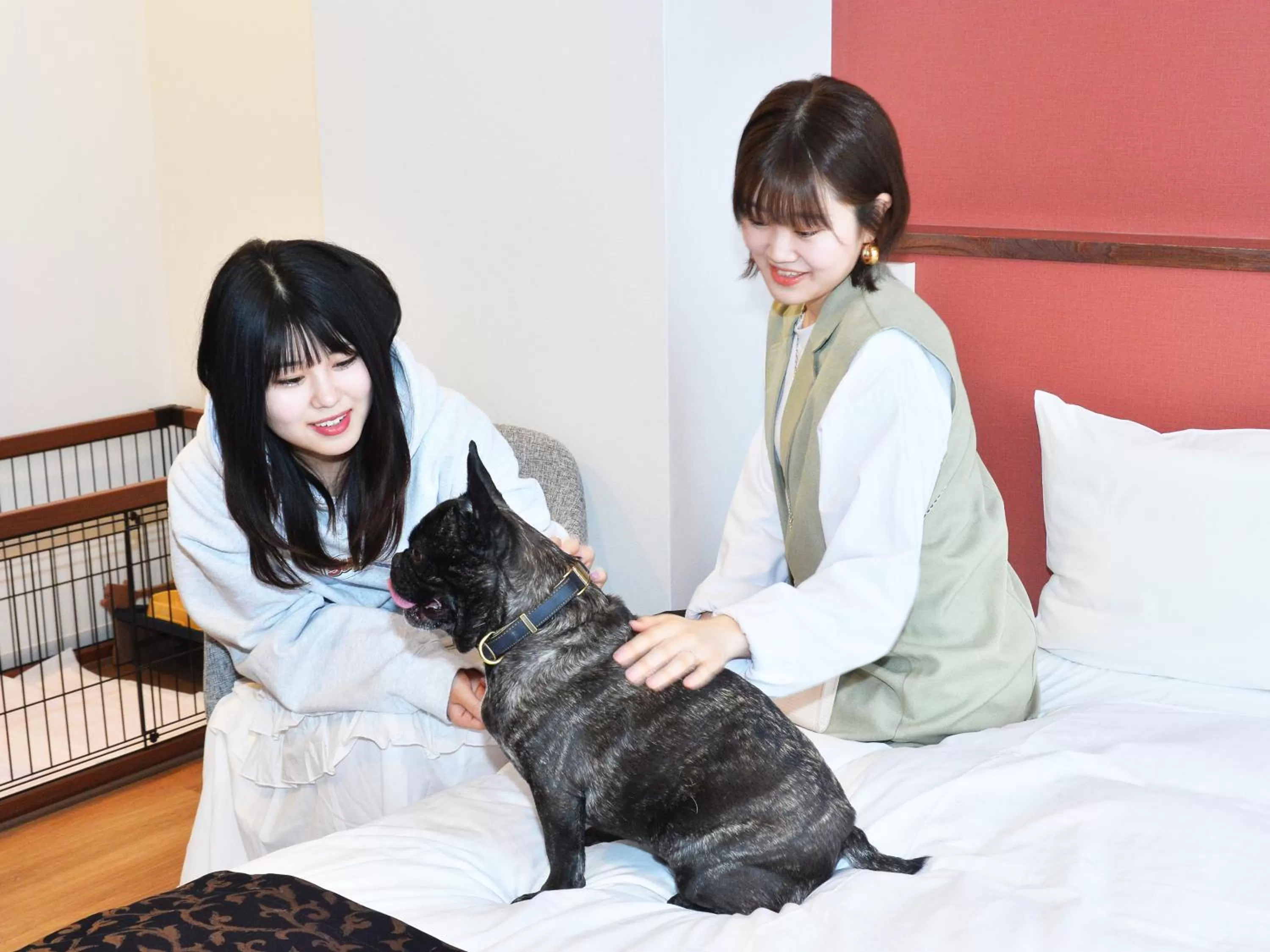 Photo of the whole room in LC Goryokaku Hotel