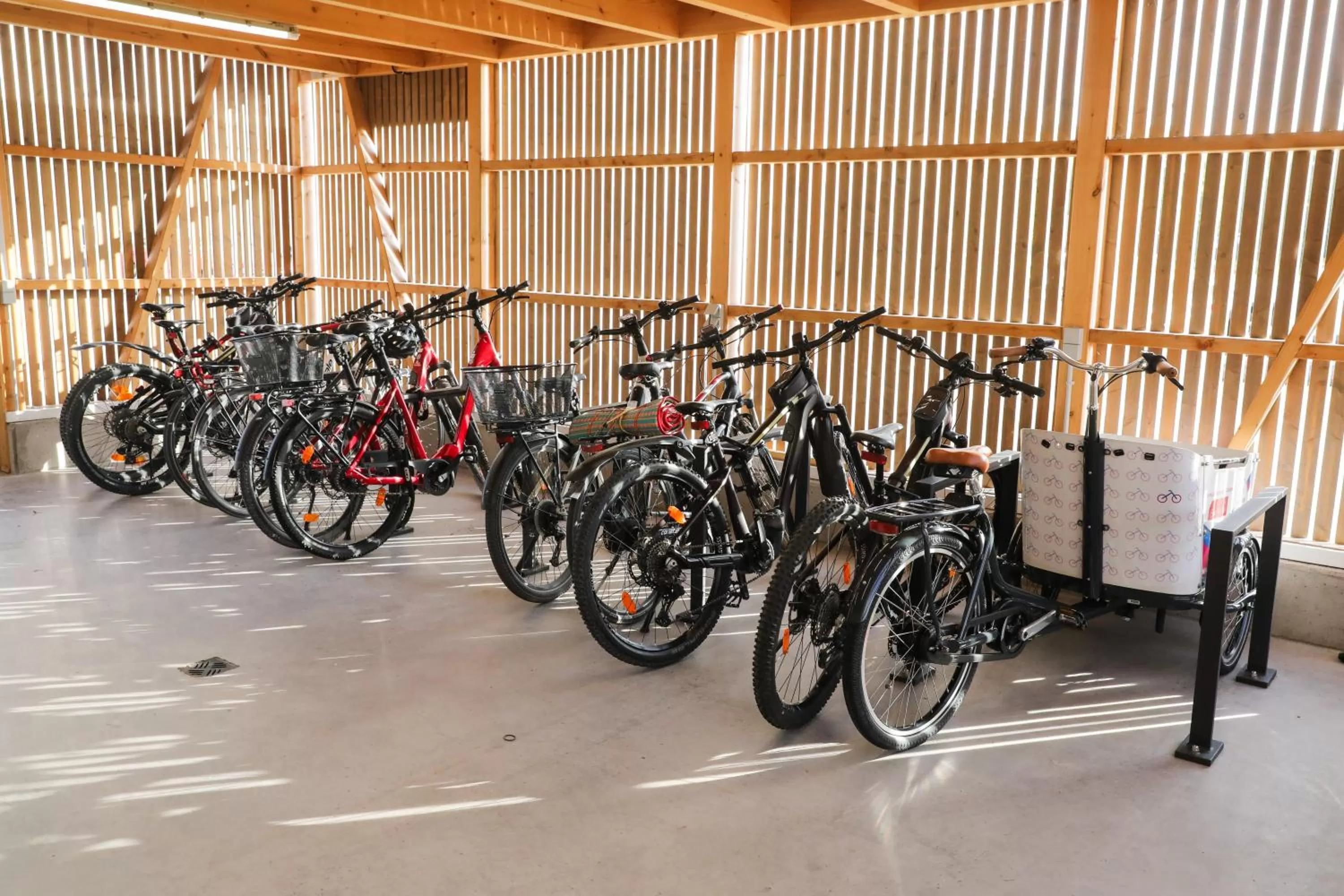 Cycling in Karls Hotel