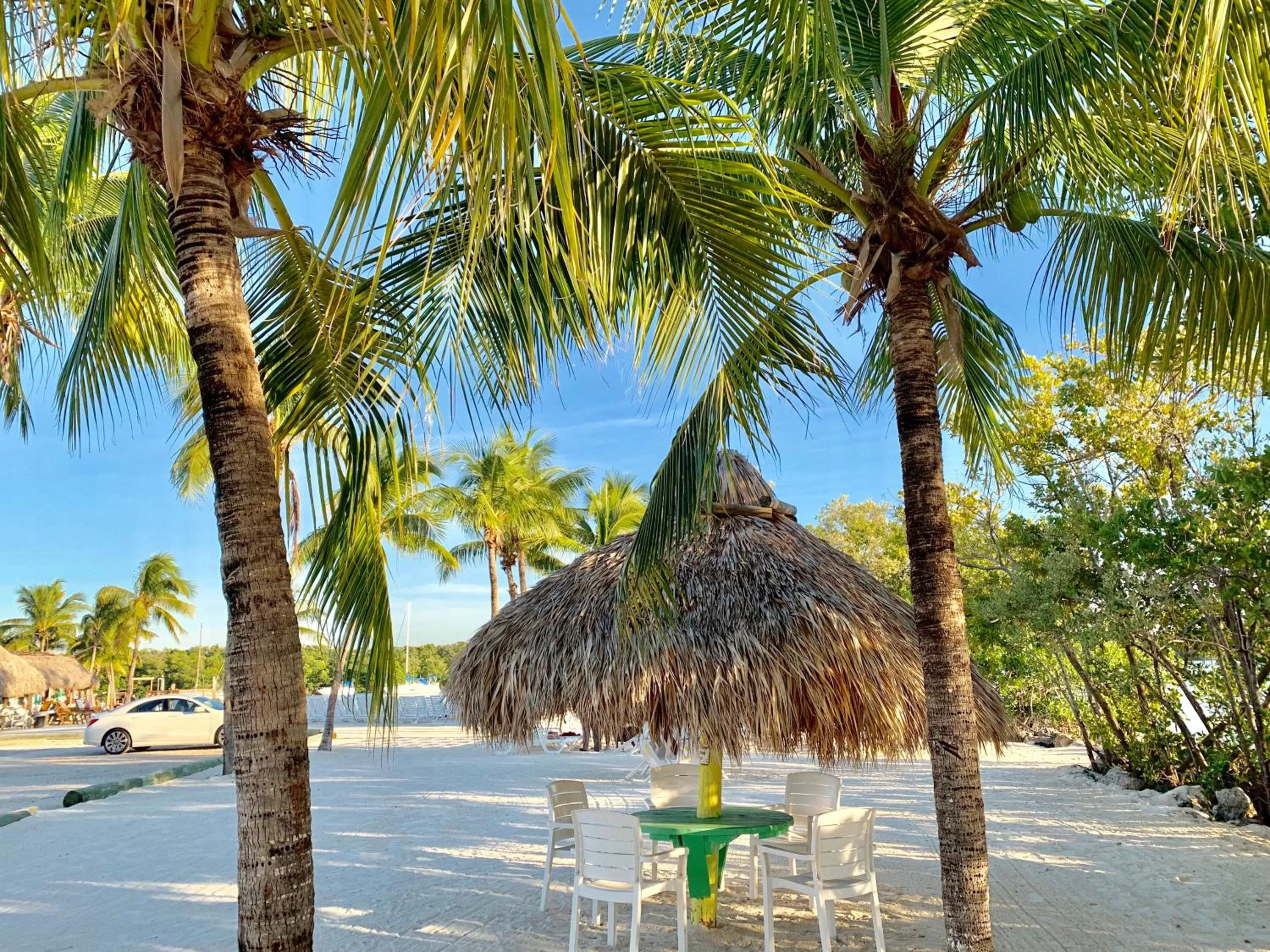 Natural landscape in Gilbert's Resort & Marina