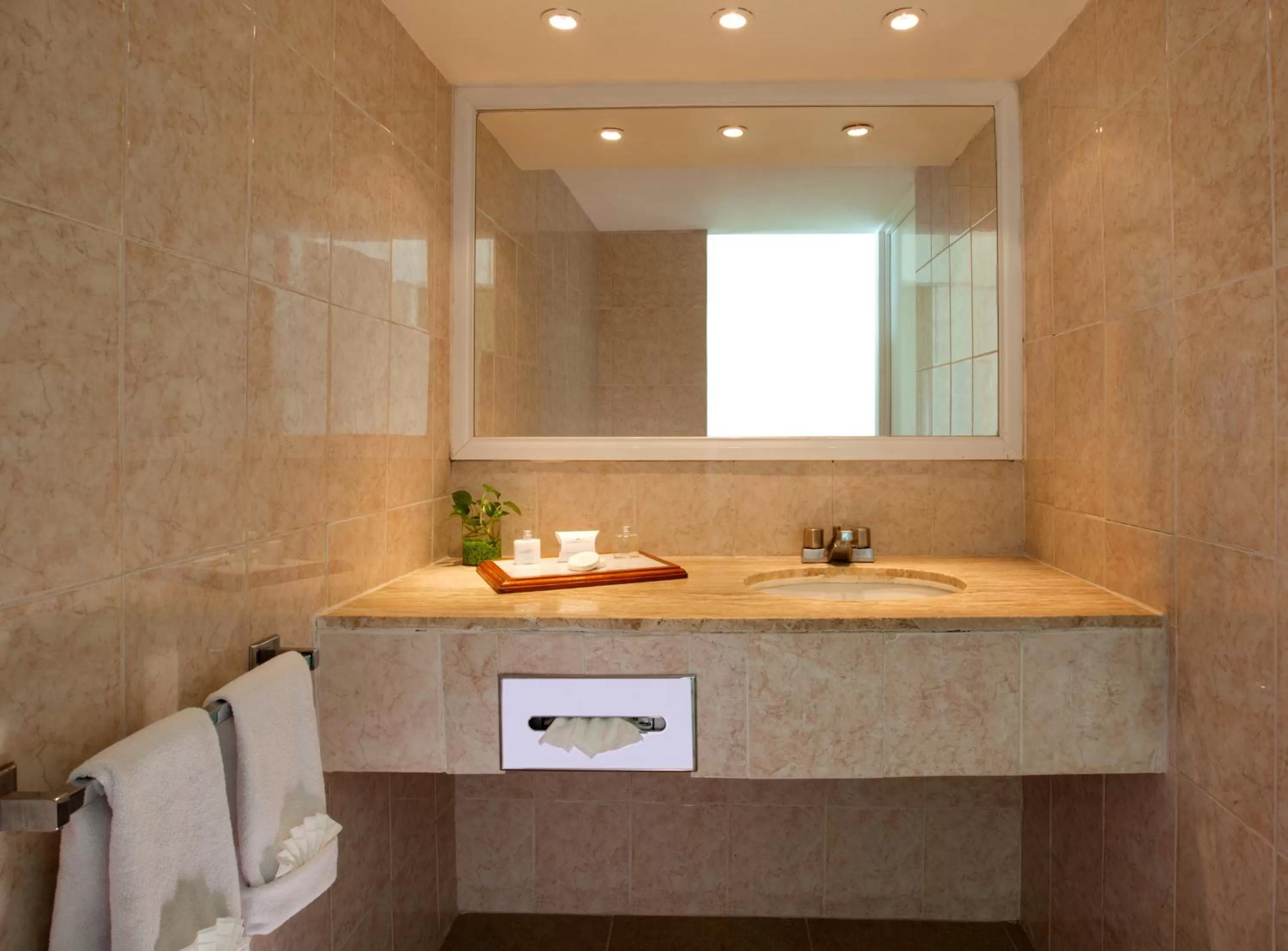 Bathroom in Calinda Beach Acapulco