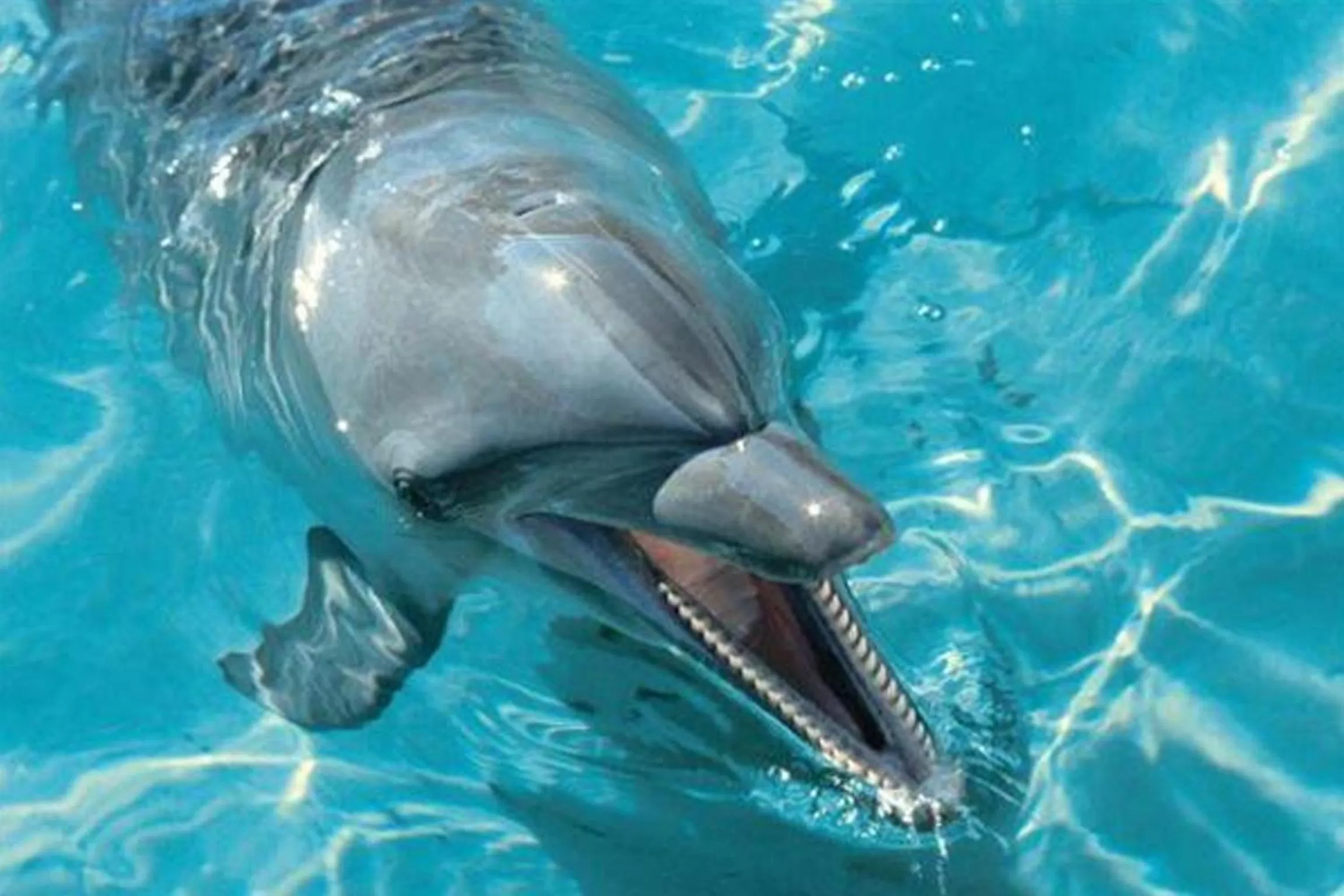 Area and facilities in The Waterford on Main Beach