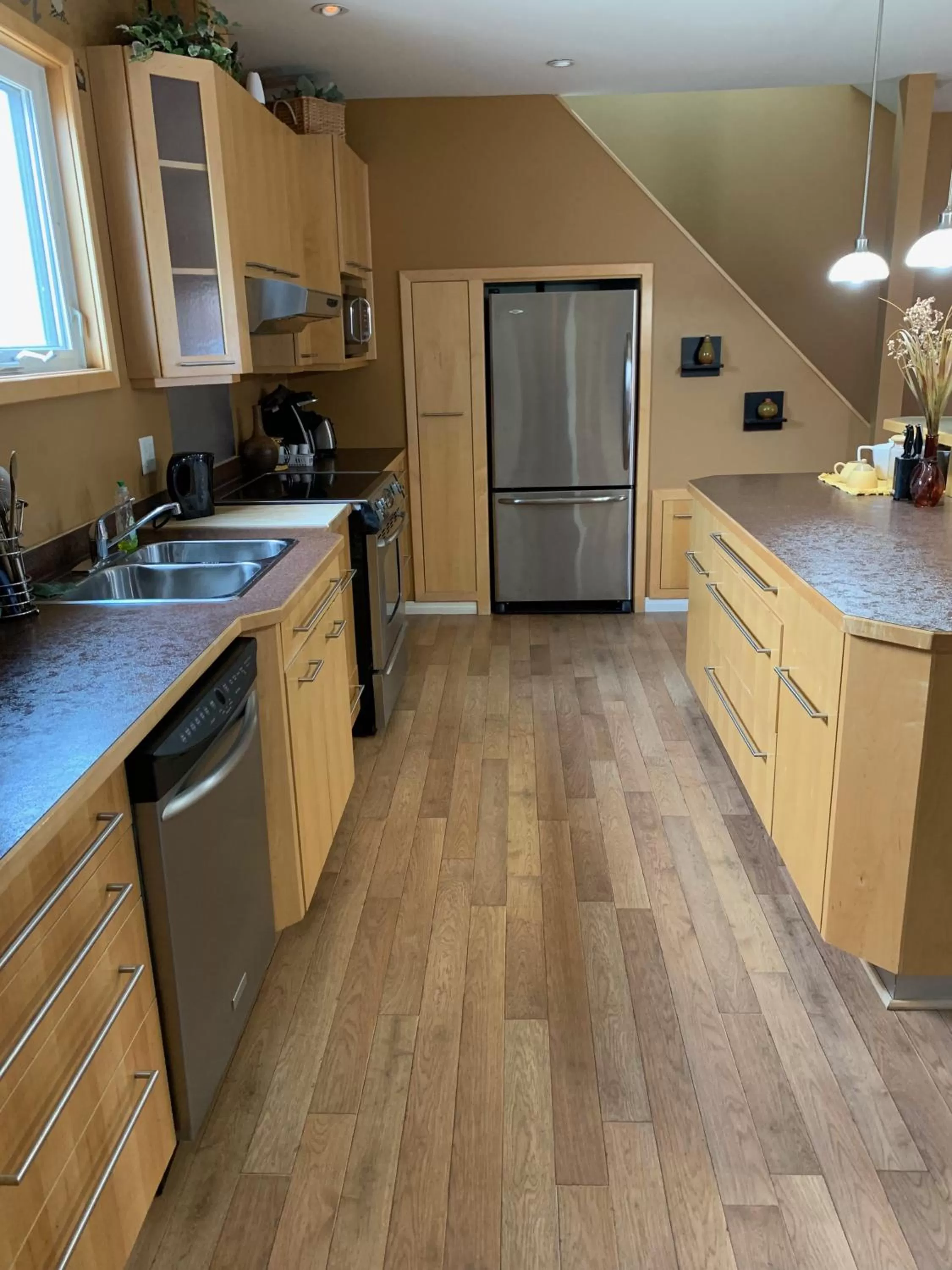 Kitchen or kitchenette in Dauphin Inn Express