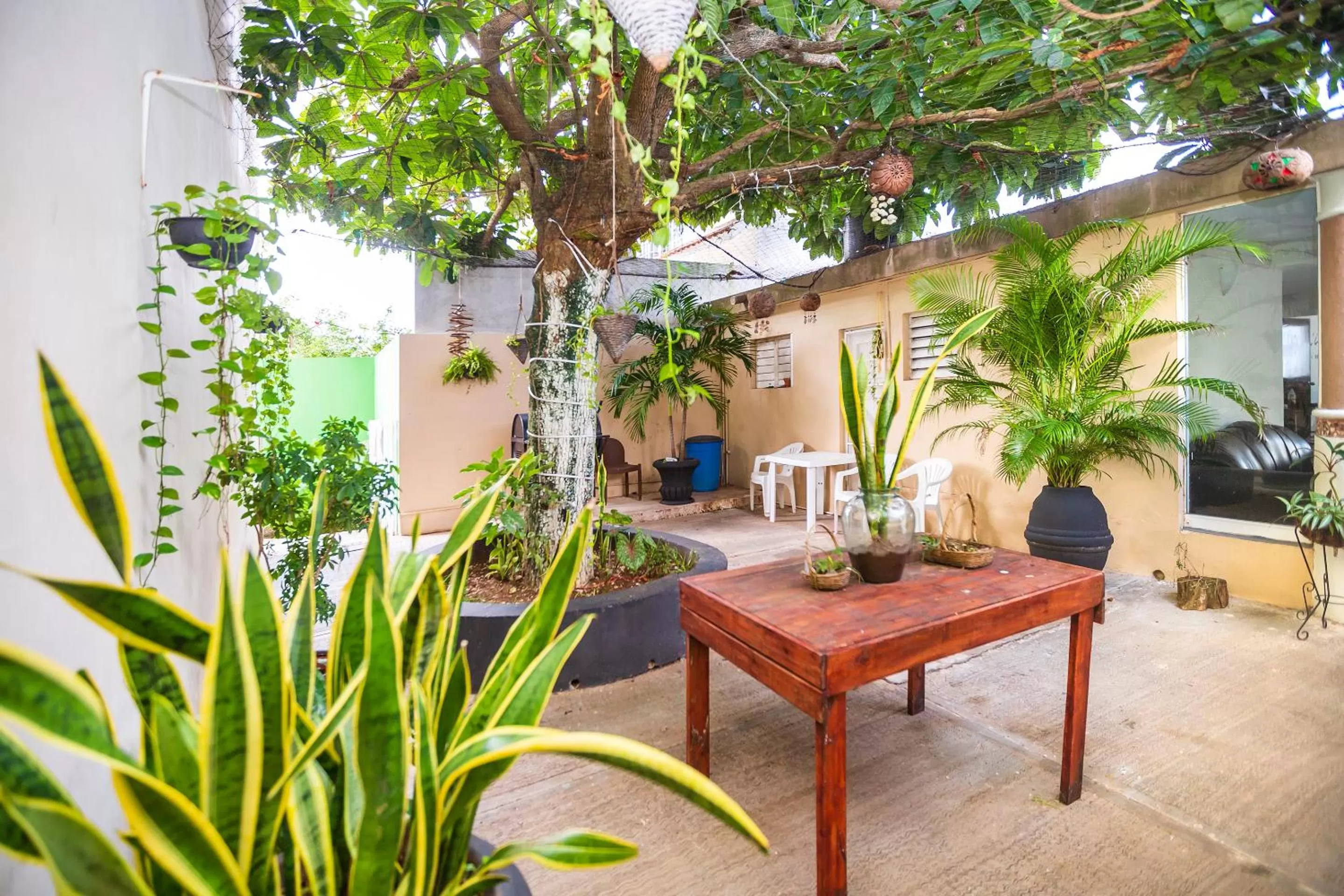 Patio in Hotel Kiin Cozumel