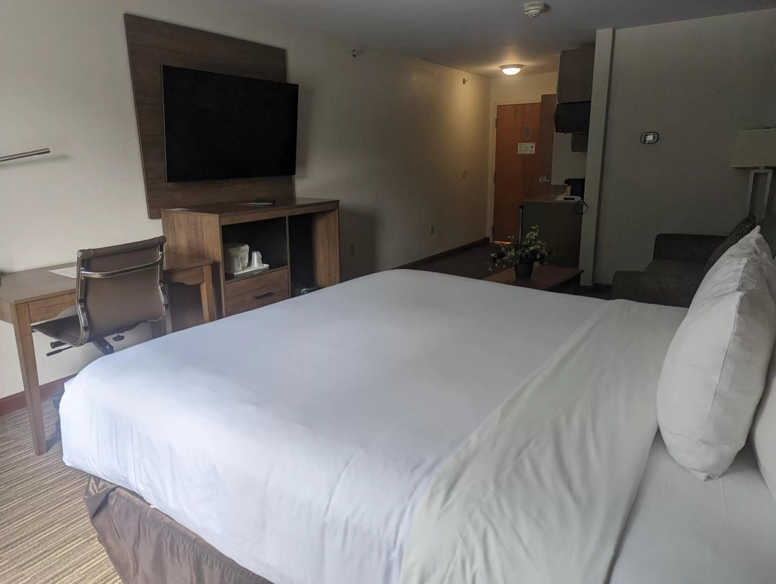 Bed in Quality Inn & Suites Northampton - Amherst