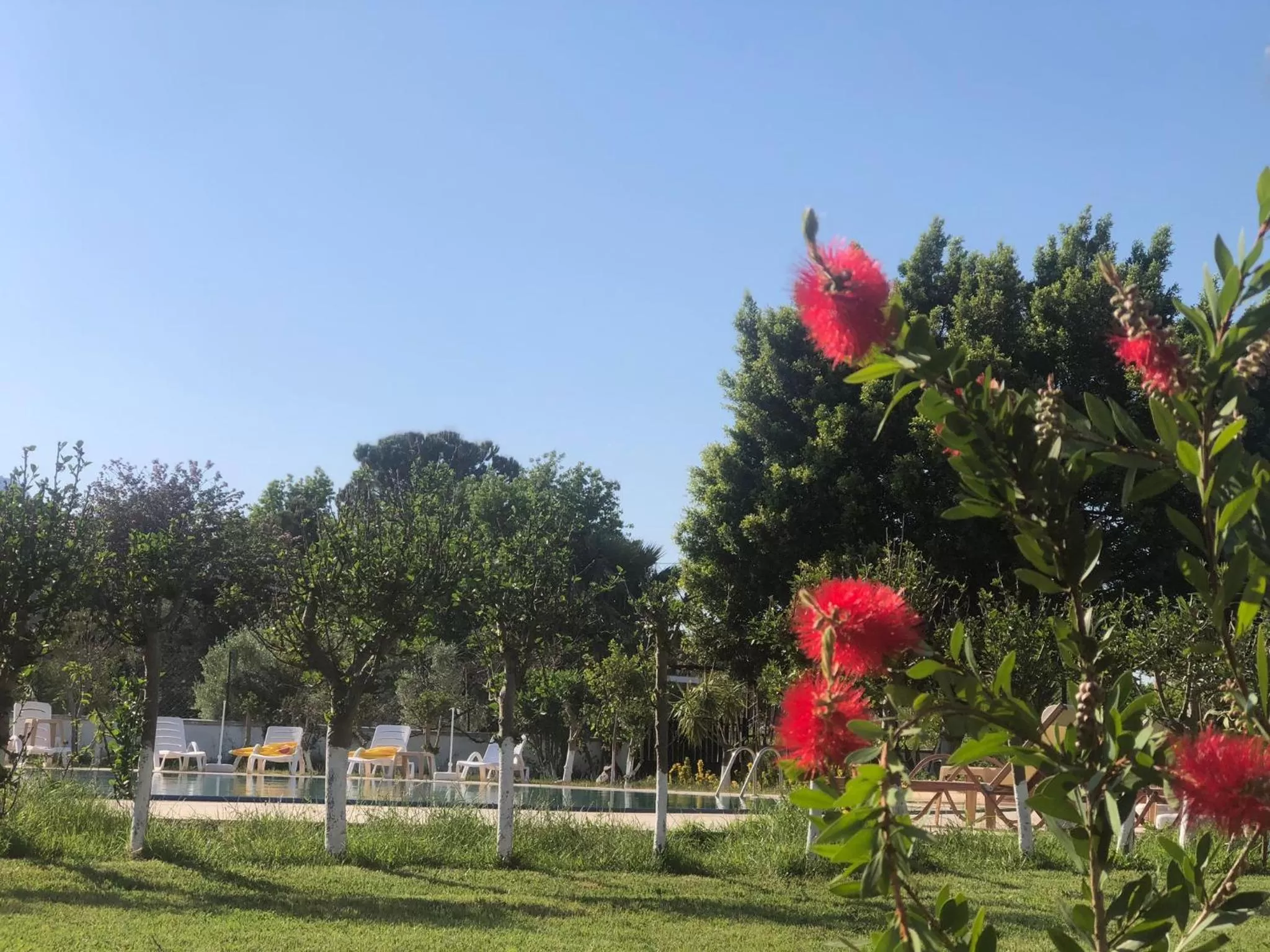 Garden in Hotel Palme Dalyan