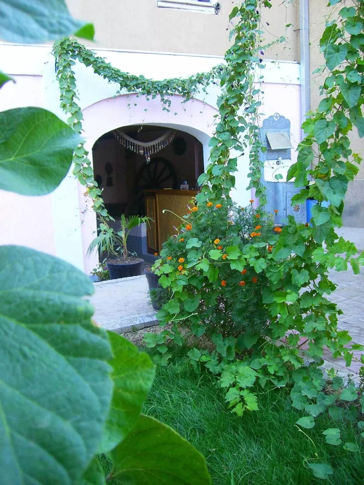 Facade/entrance in Jahongir Guest House