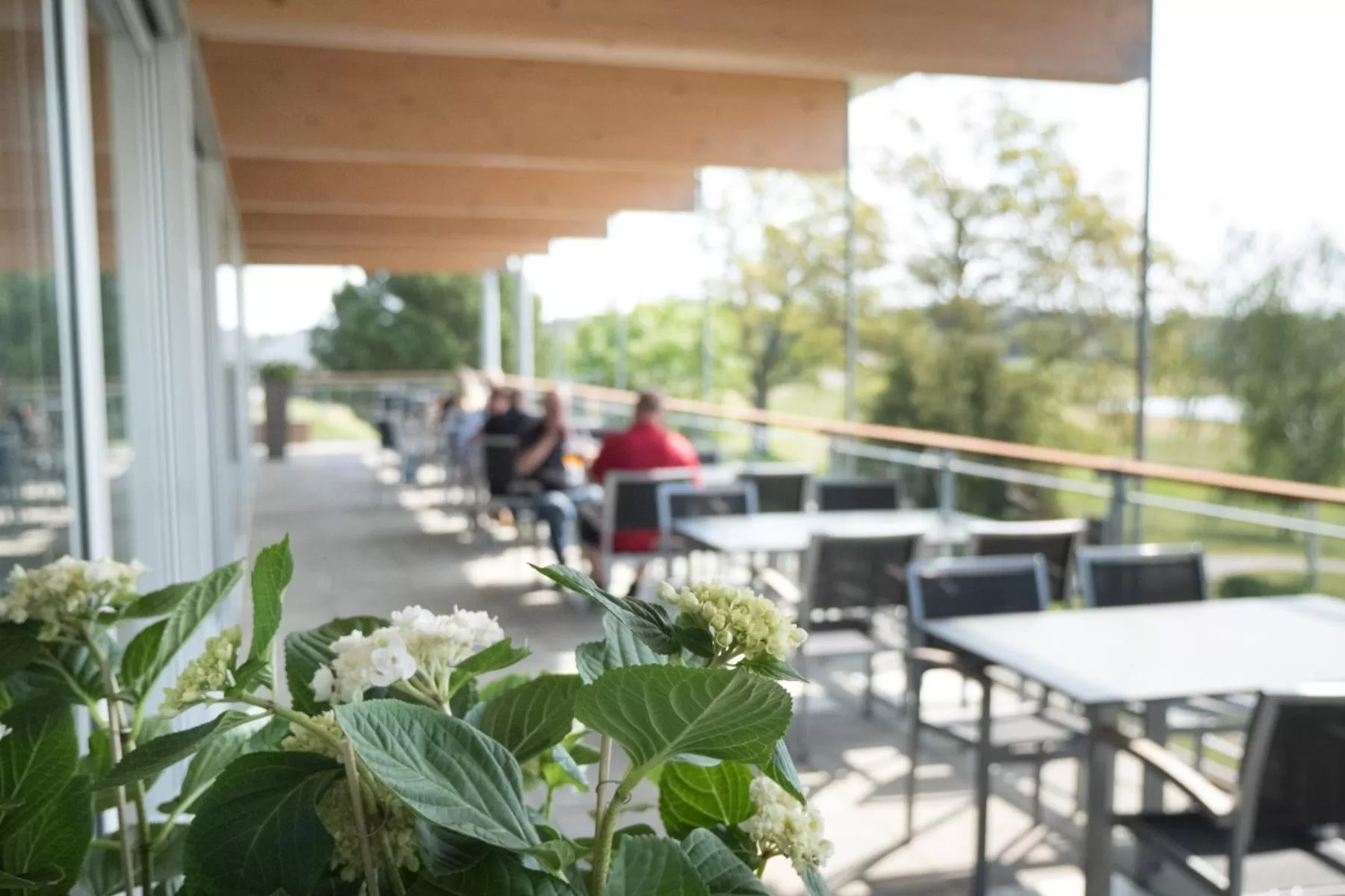 Restaurant/places to eat in Kultaranta Resort