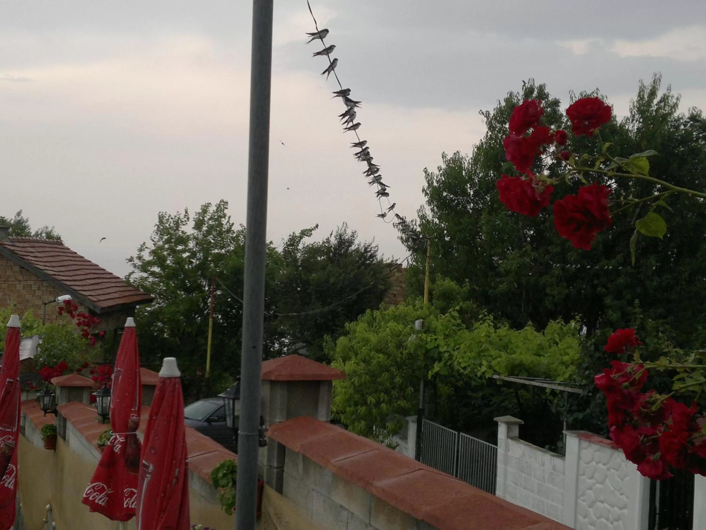 Summer in Hotel Poseidon