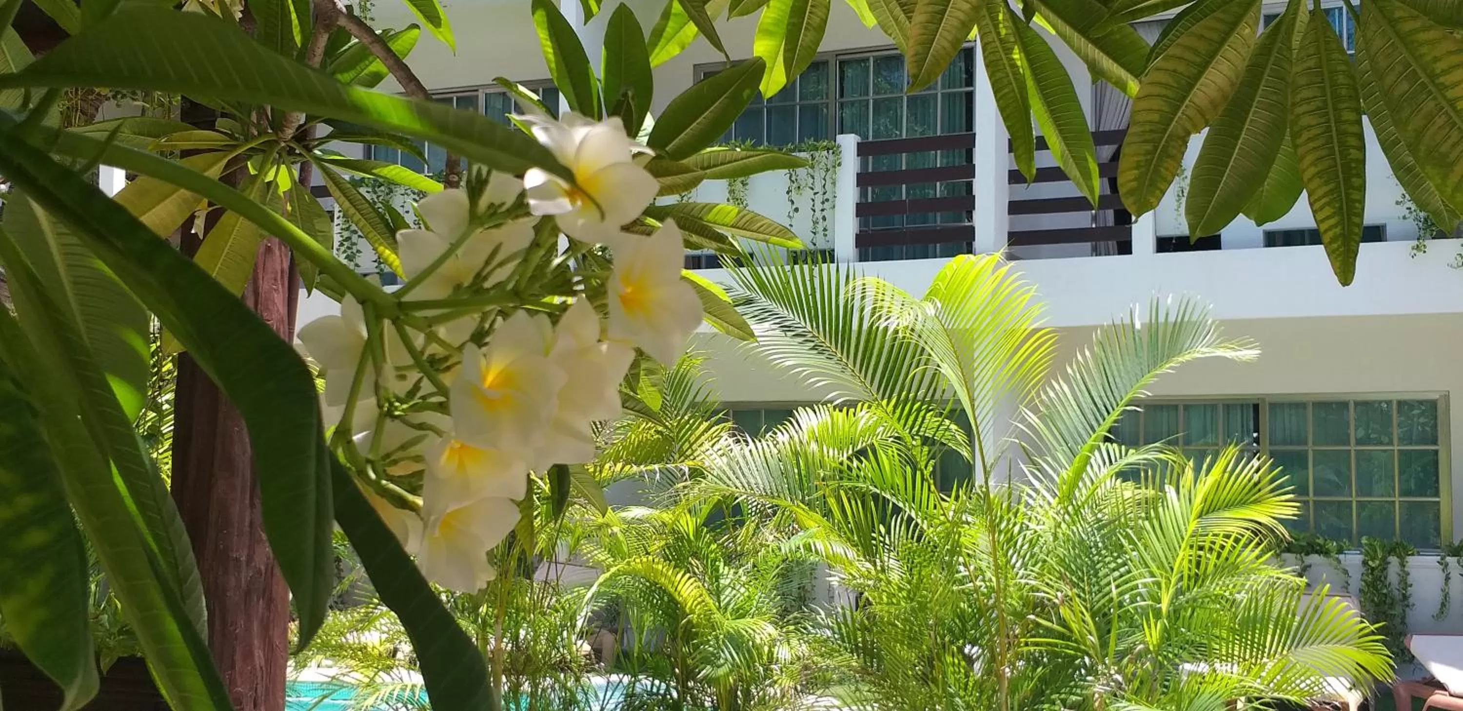 Decorative detail in Posada Sian Kaan Playa del Carmen - Wellness Oriented Hotel