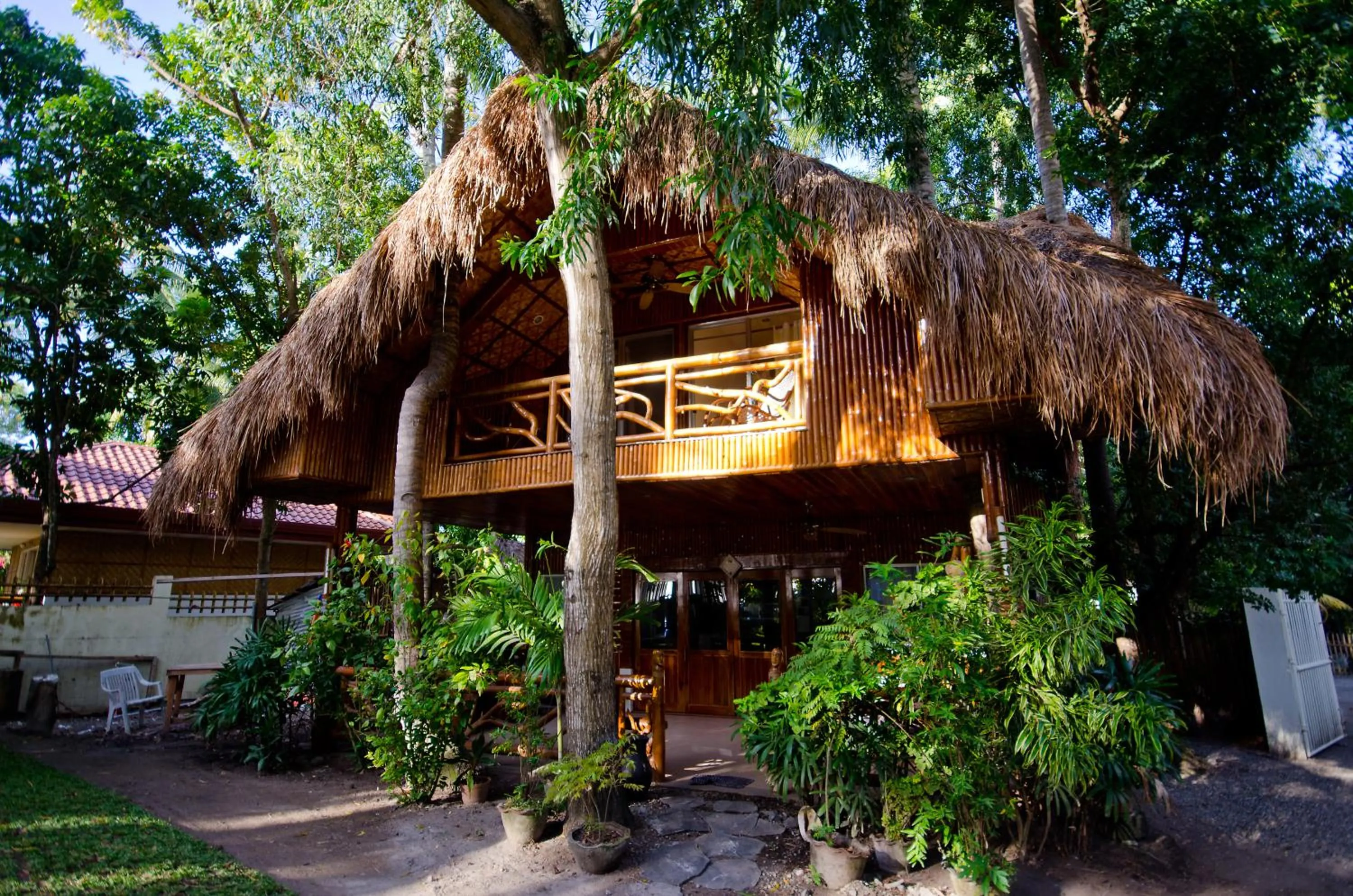 Property building in Mike's Dauin Dive Resort